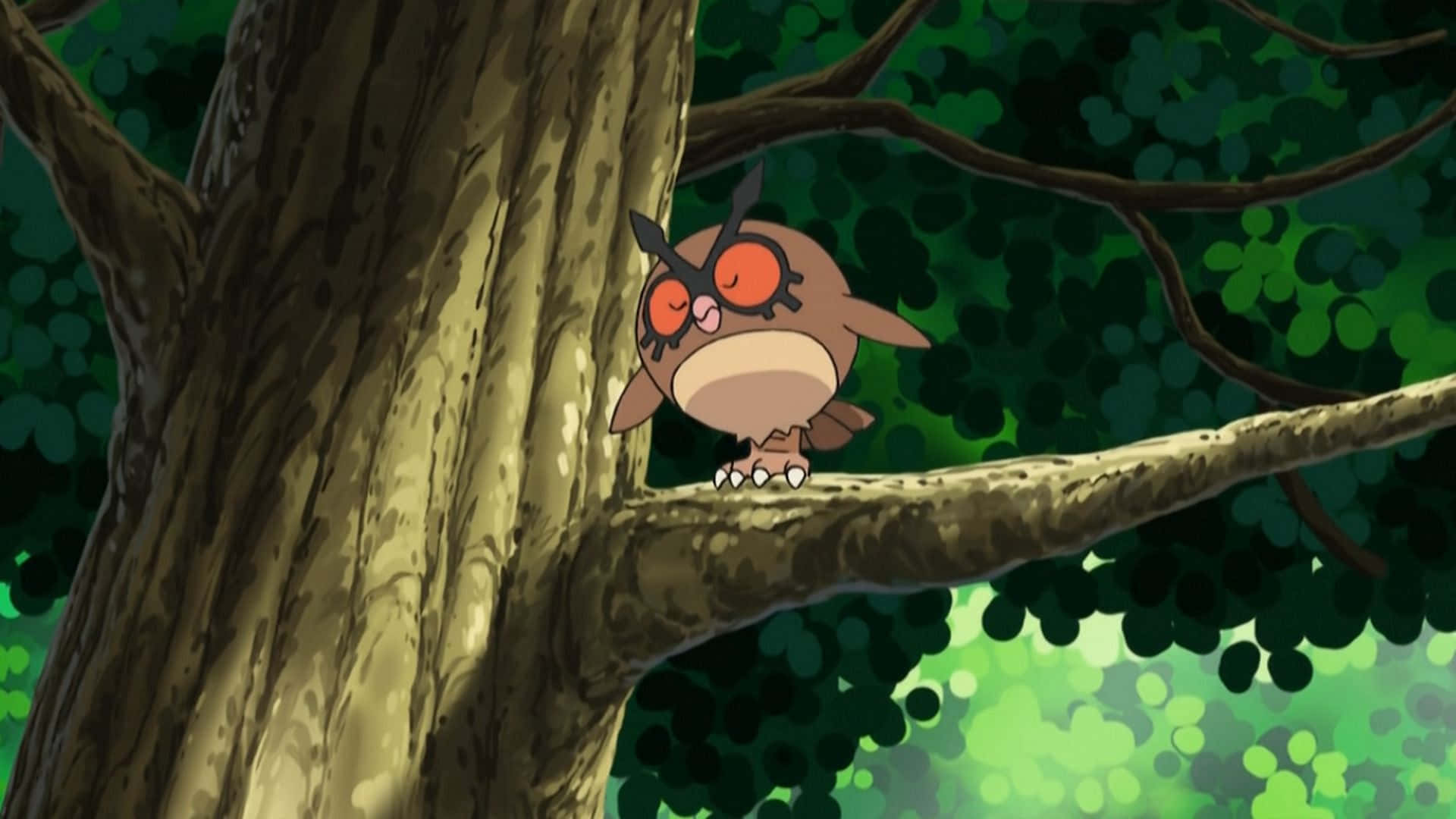 Hoothoot posado en una rama de árbol Fondos de pantalla