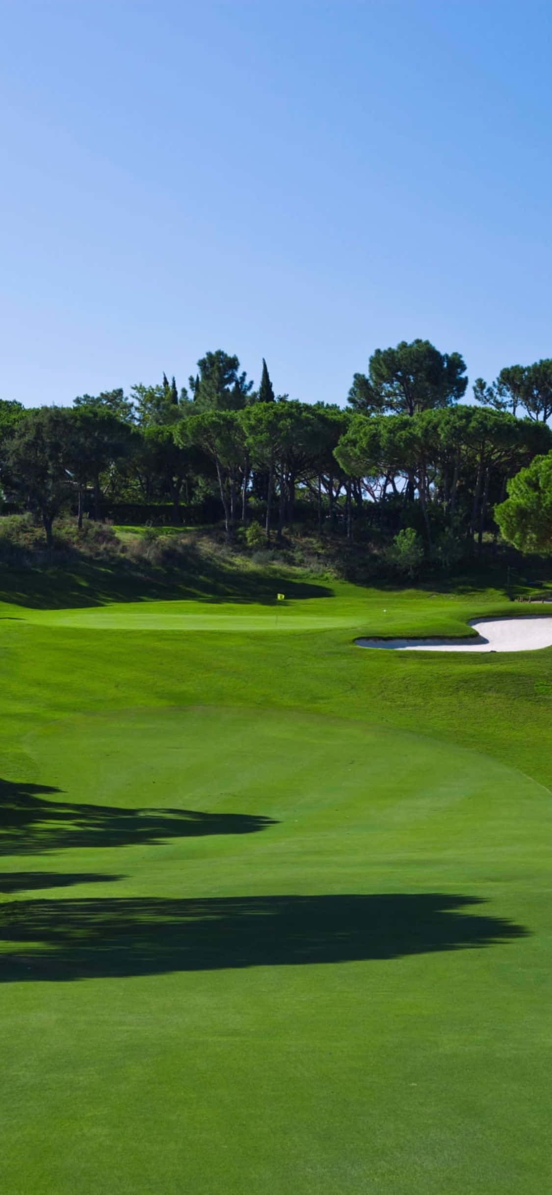Hora de Otra Ronda en un Hermoso Campo de Golf Fondos de pantalla
