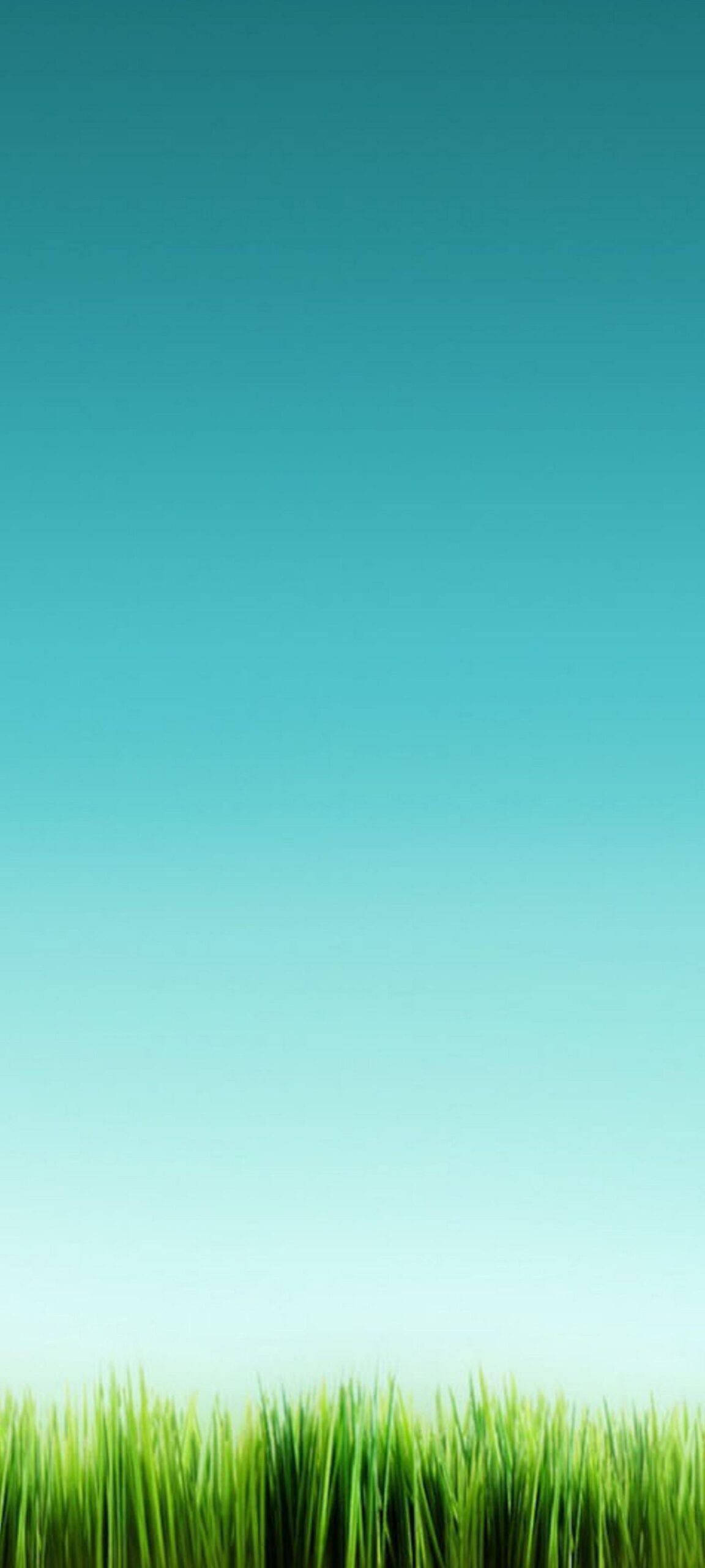 Horizonte tranquilo para OnePlus 8 Pro Fondos de pantalla