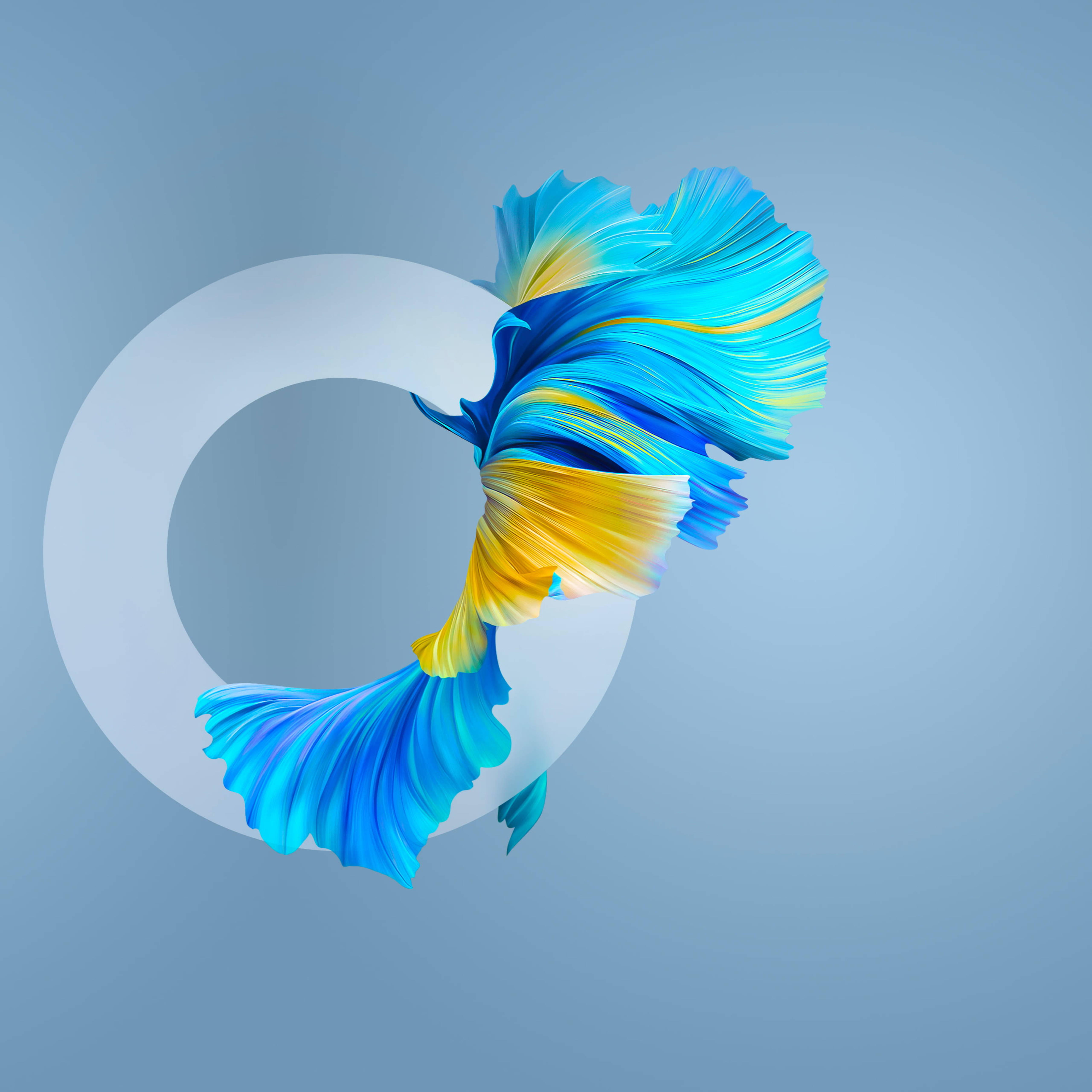 Huawei Mate 40 Pro Pez Fondos de pantalla