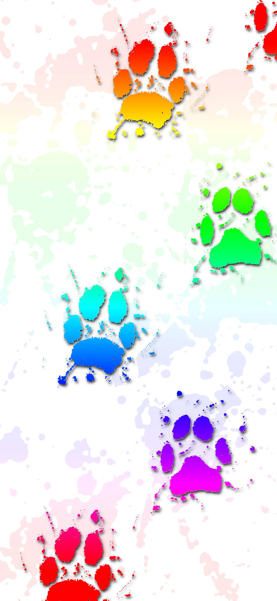 Huellas de Perro Salpicadas de Pintura Fondos de pantalla