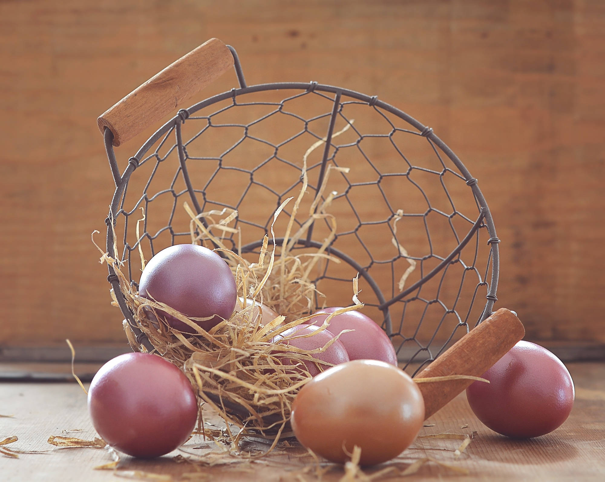 Huevos de Pascua Marrones Fondos de pantalla