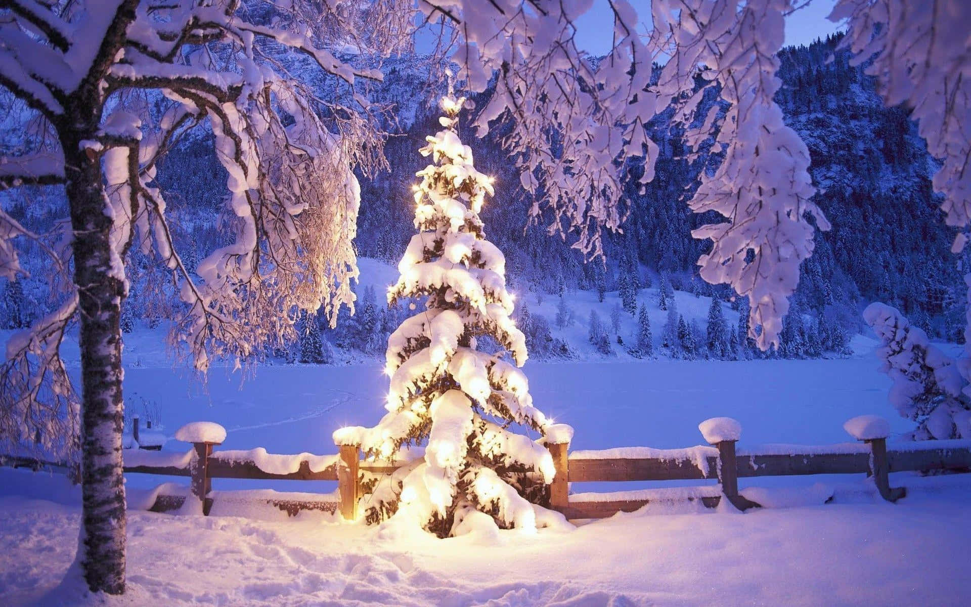 Idea de árbol de Navidad blanco con fondo de nieve Fondos de pantalla