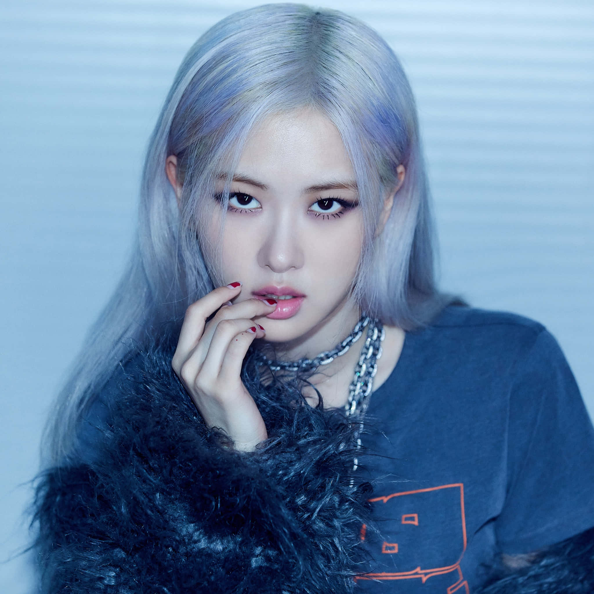 Ideas para foto de perfil con Rose de BLACKPINK Fondos de pantalla