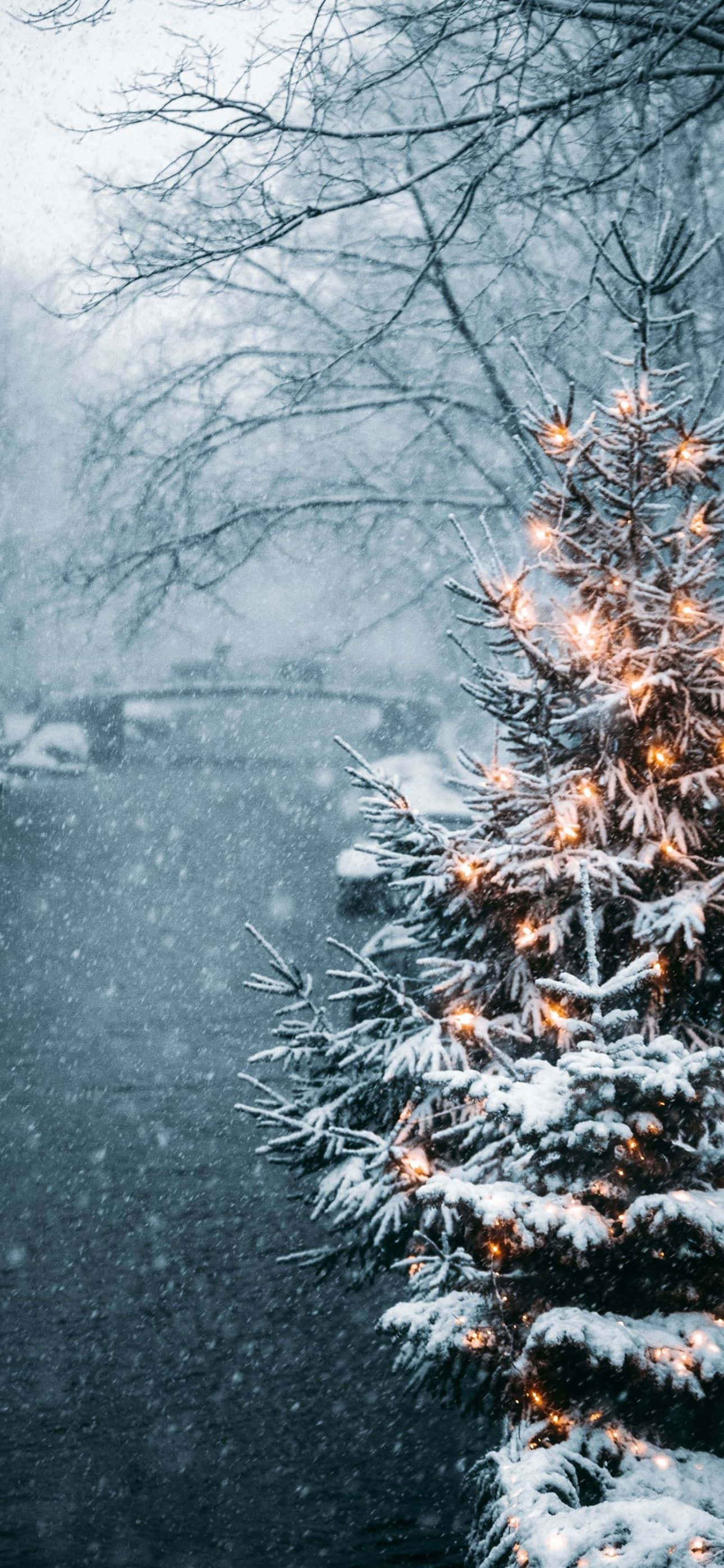Ilumina las fiestas con un fondo navideño para iPhone Fondos de pantalla