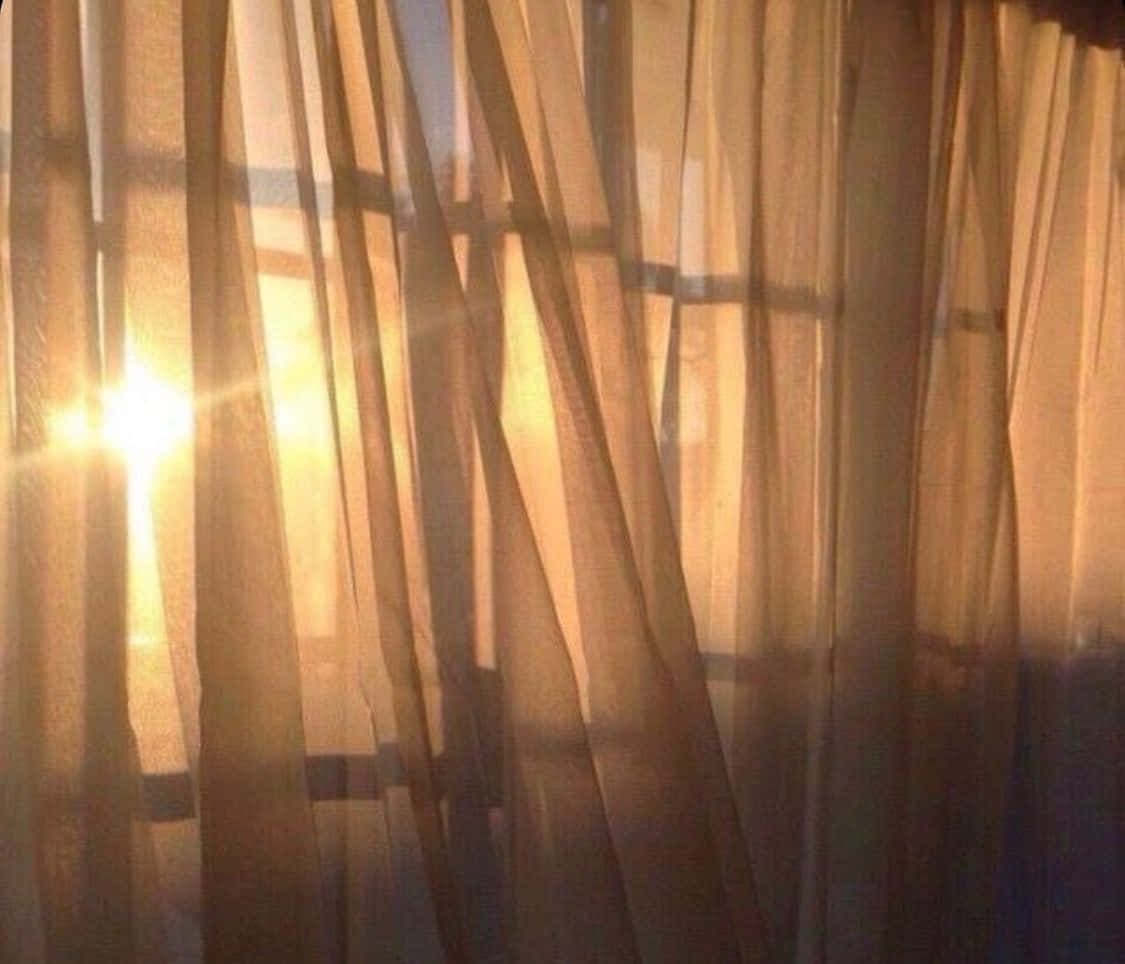 Ilumina tu decoración del hogar con un toque de estética marrón claro Fondos de pantalla