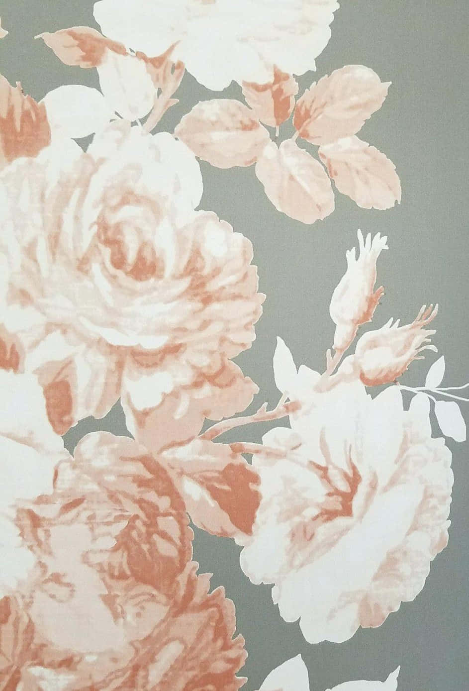 Ilumina tu día con un hermoso fondo de pantalla de flores para iPhone Fondos de pantalla