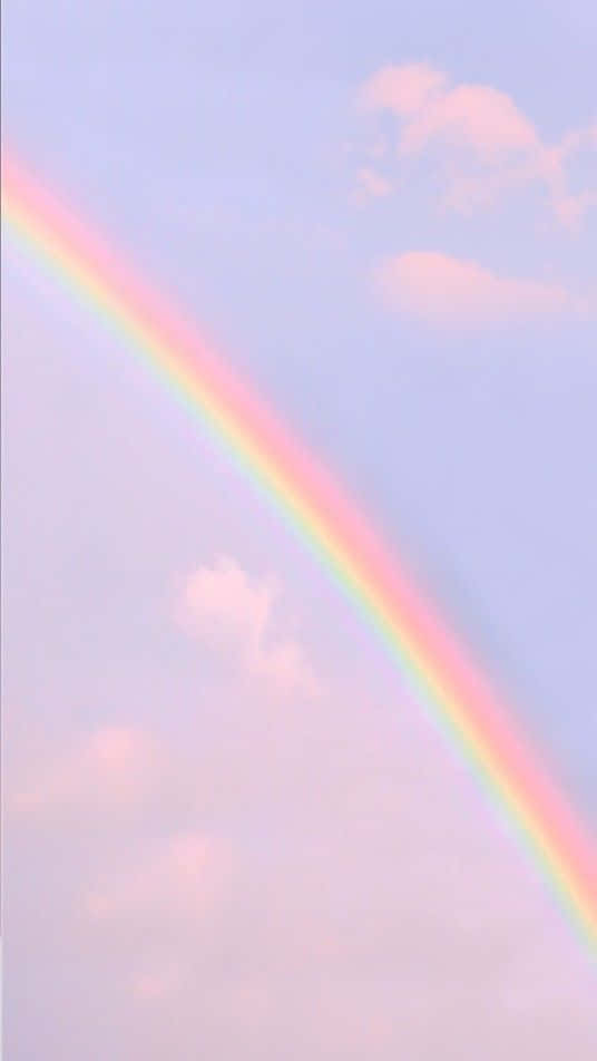 ¡Ilumina tu día con un toque de color! Fondos de pantalla