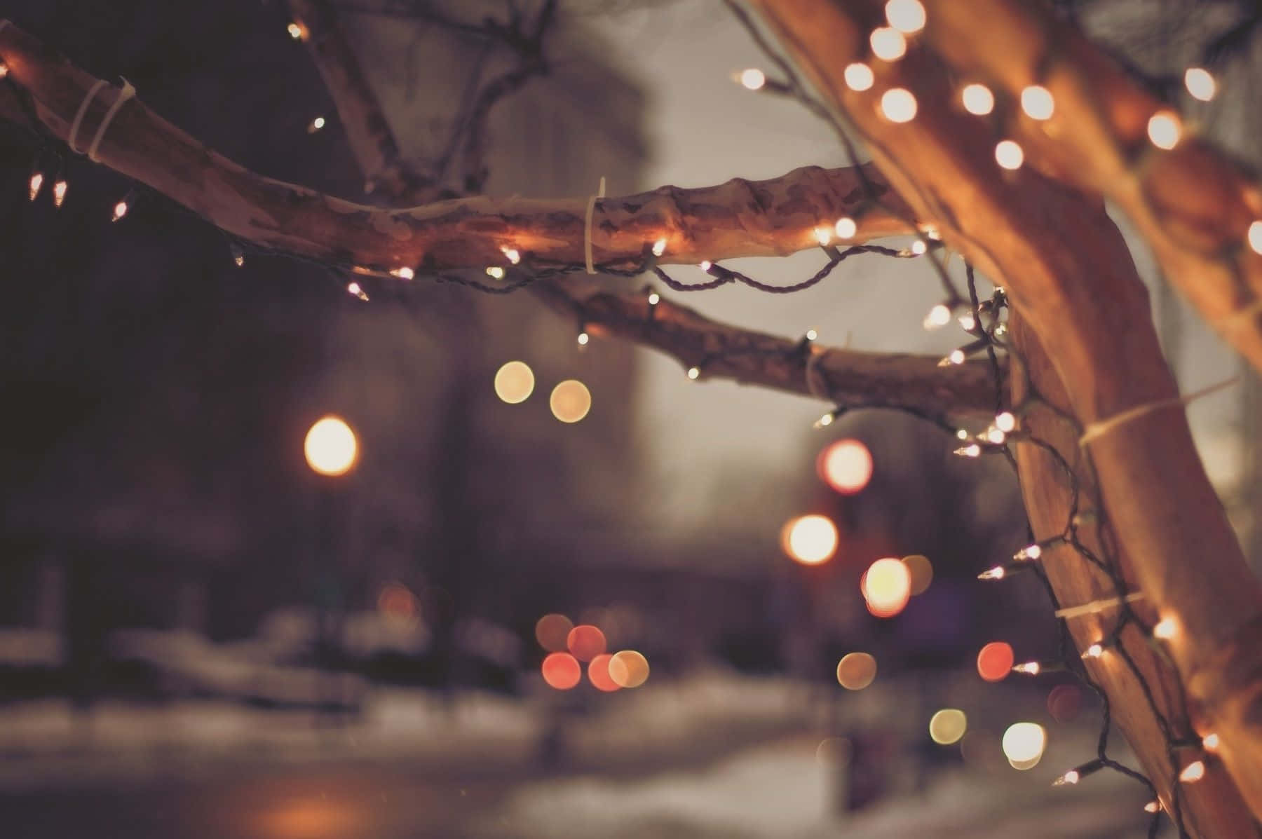 Ilumina tu hogar con luces navideñas esta Navidad Fondos de pantalla