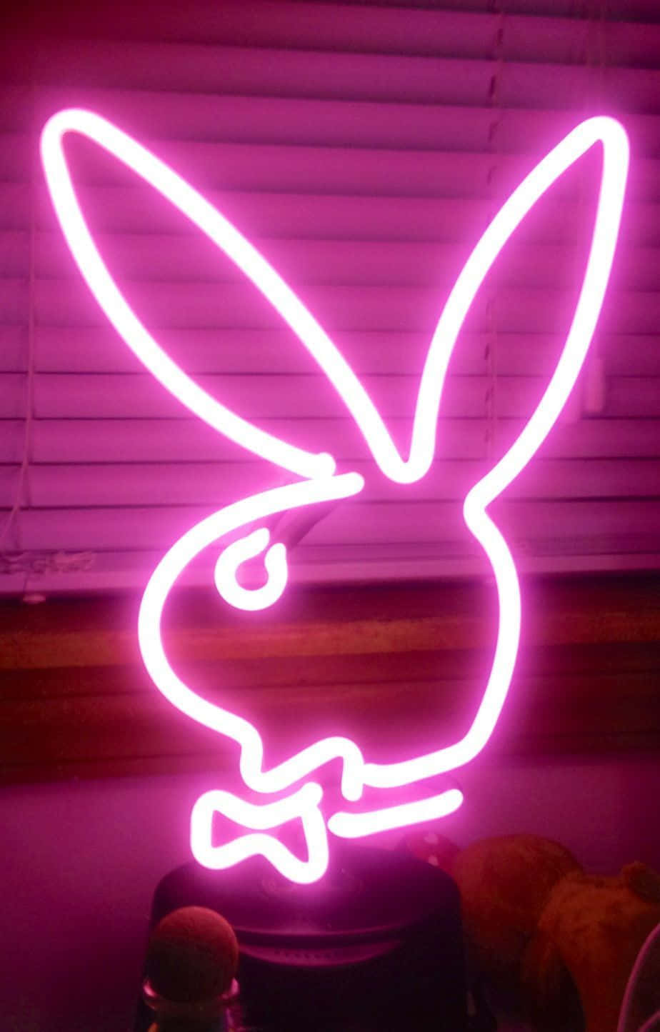 "Ilumina tu vida con una estética neón" Fondos de pantalla