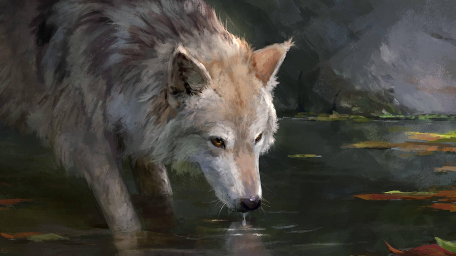 Ilustración creativa de un lobo bebiendo agua Fondos de pantalla