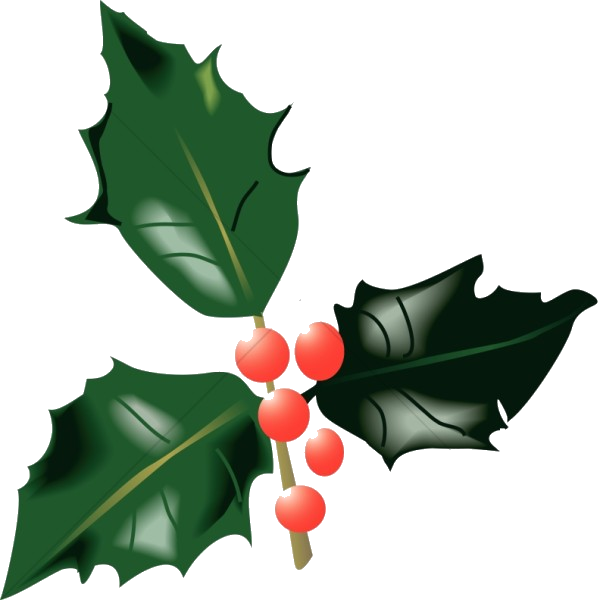 Ilustración de bayas de acebo Fondos de pantalla