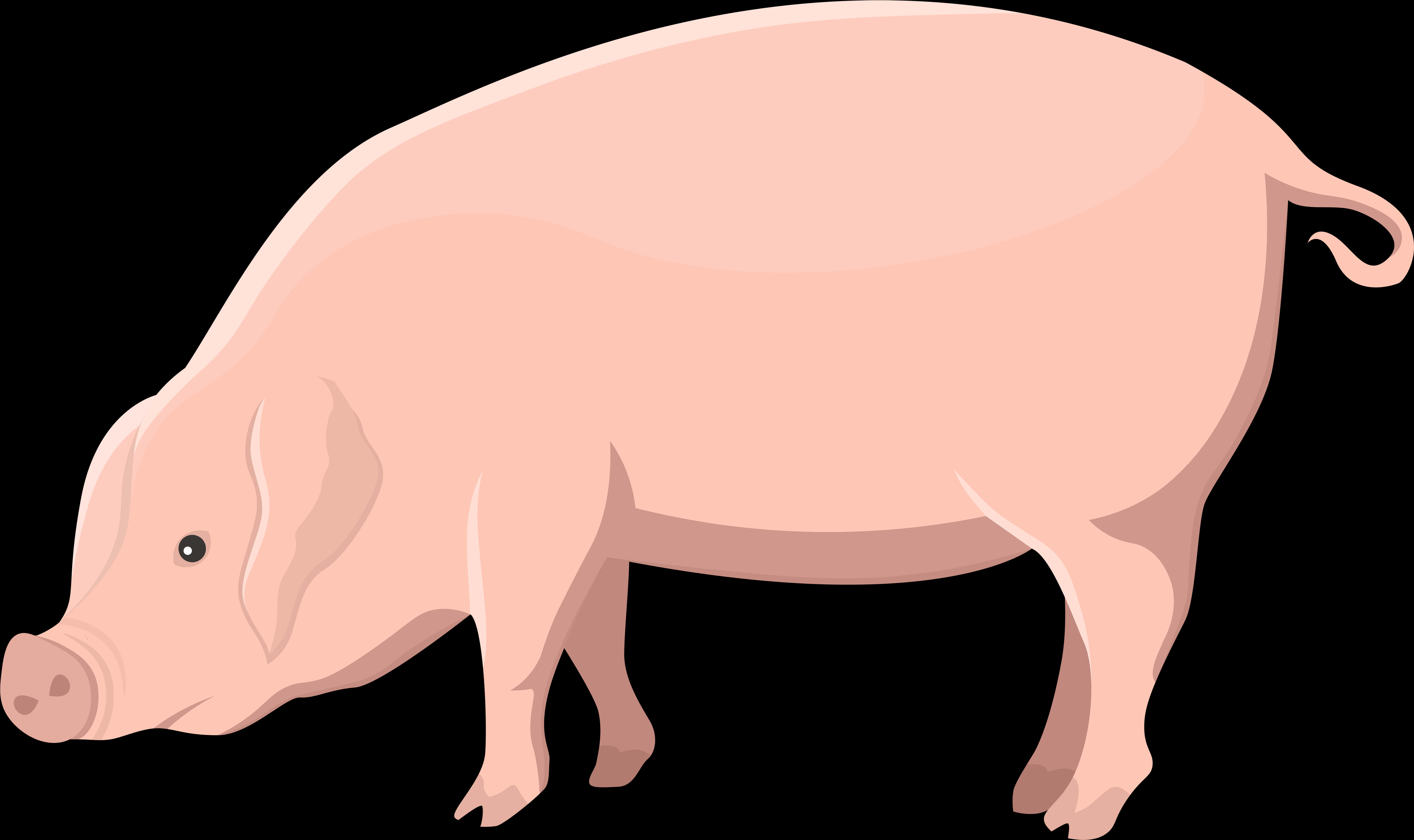 Ilustración de cerdo de dibujos animados Fondos de pantalla