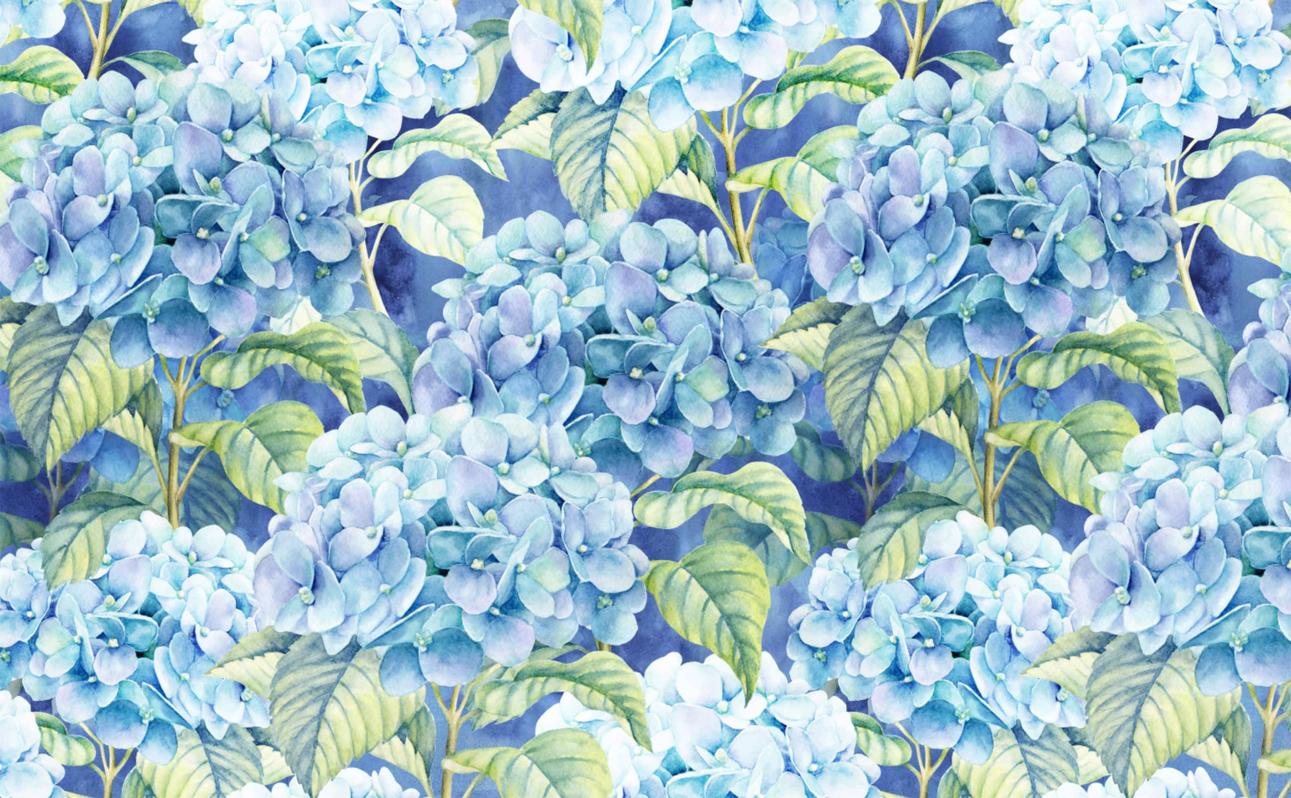 Ilustración de hortensias azul claro Fondos de pantalla