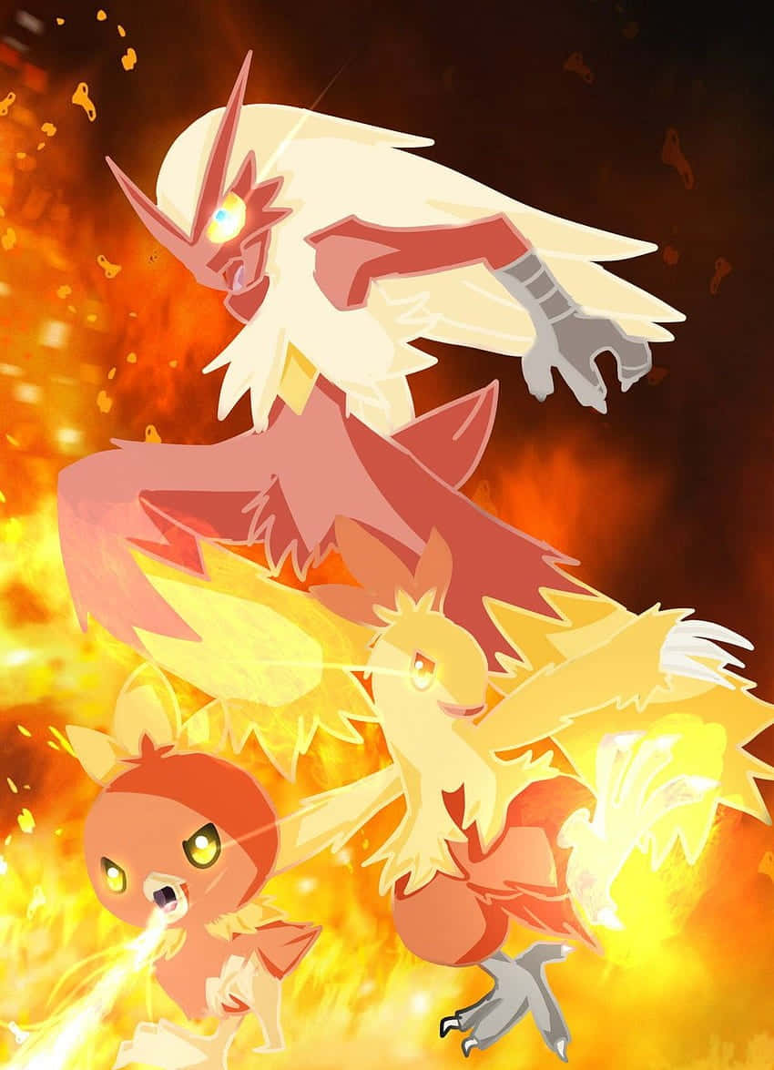 Ilustración de las etapas de evolución de Torchic Pokémon Fondos de pantalla