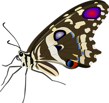 Ilustración de Mariposa Colorida Fondos de pantalla