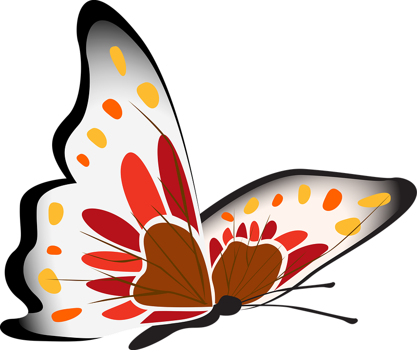 Ilustración de mariposa colorida Fondos de pantalla