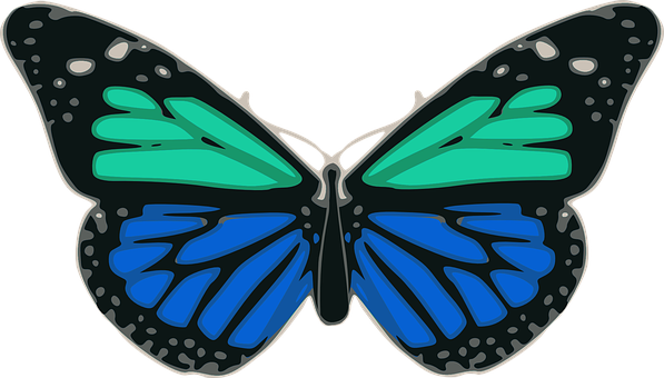 Ilustración de mariposa colorida Fondos de pantalla