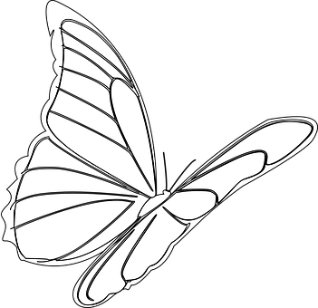 Ilustración de mariposa en monocromo Fondos de pantalla