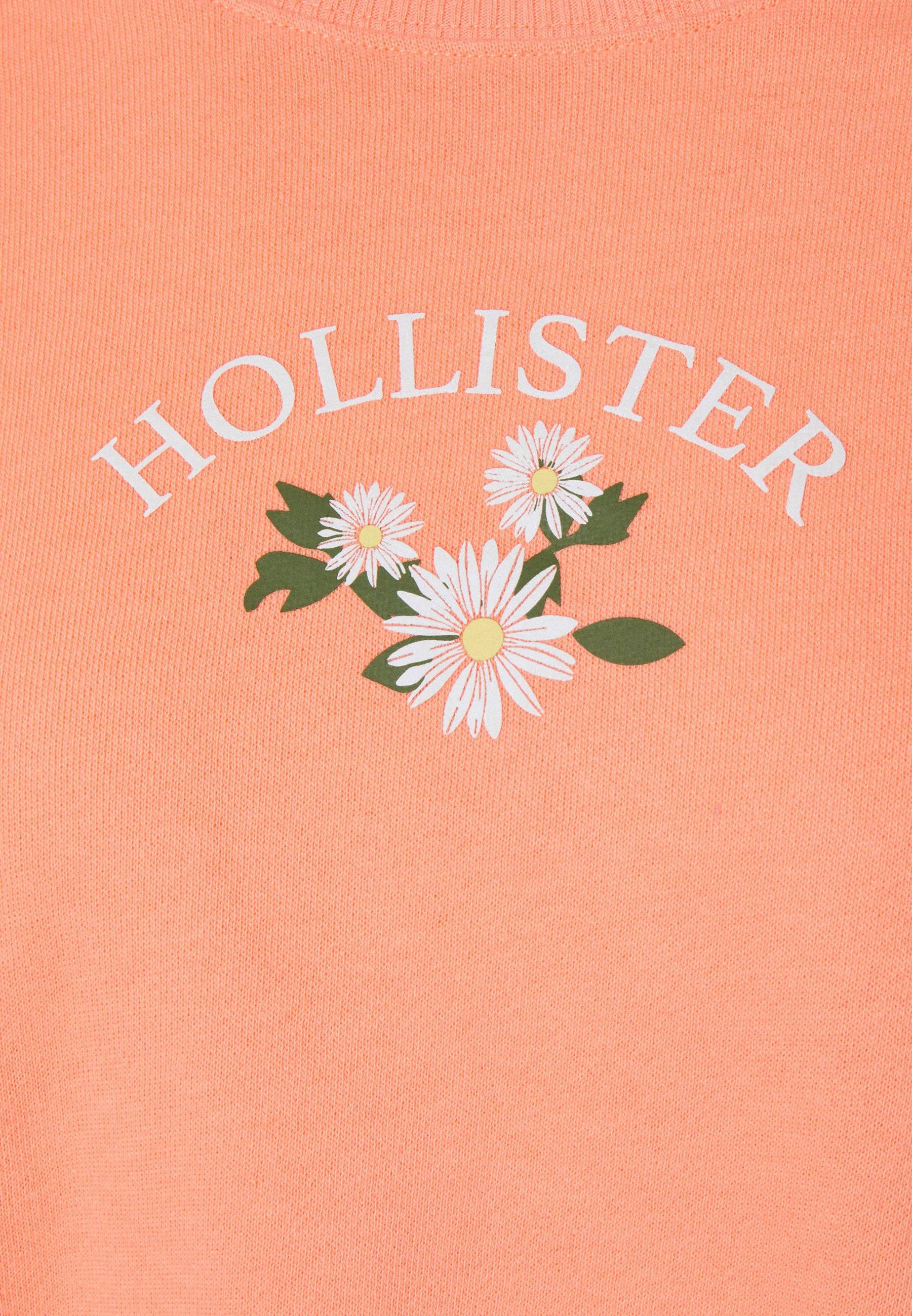 Ilustración de Tres Flores Blancas Hollister Fondos de pantalla