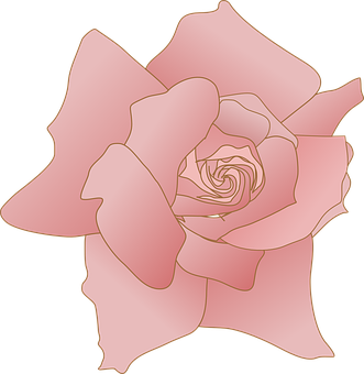 Ilustración estilizada de rosa rosa Fondos de pantalla