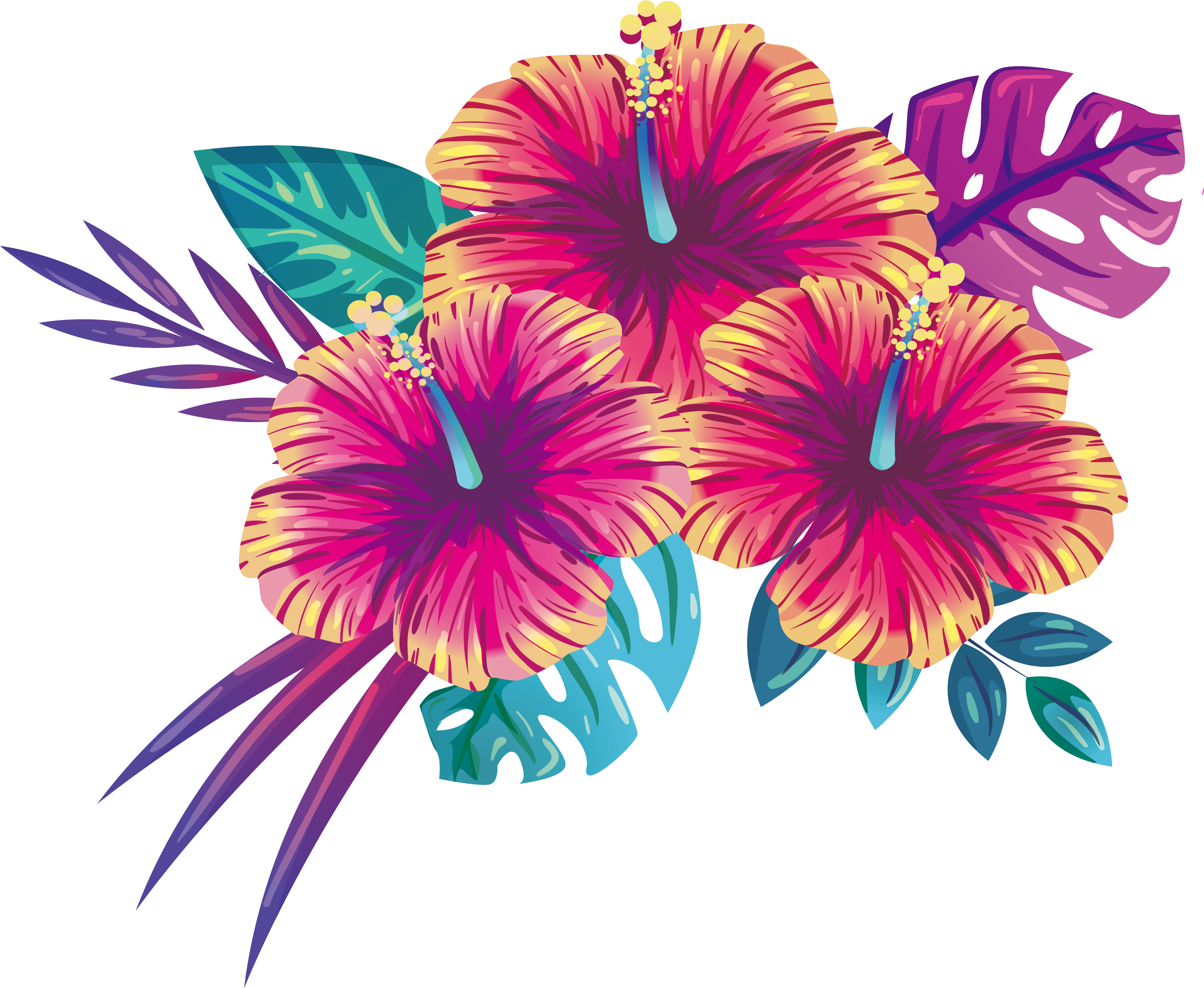 Ilustración floral de hibisco tropical Fondos de pantalla