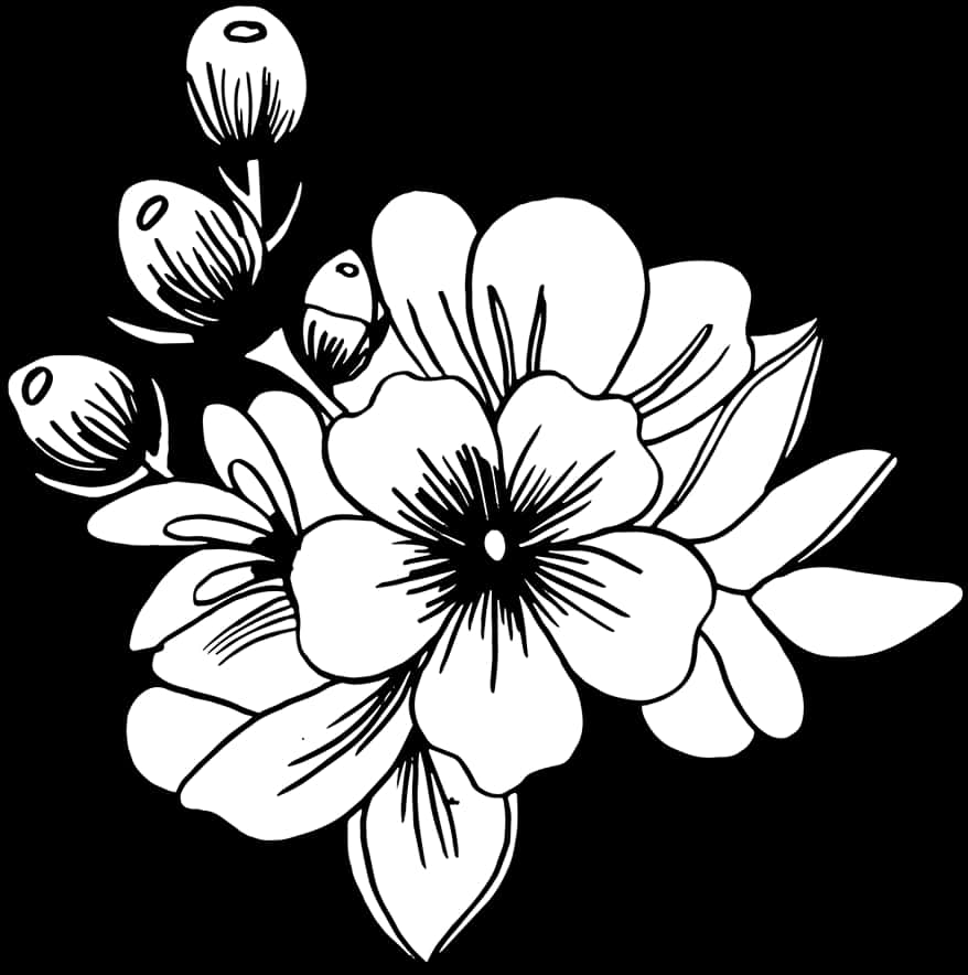 Ilustración Floral en Blanco y Negro Fondos de pantalla
