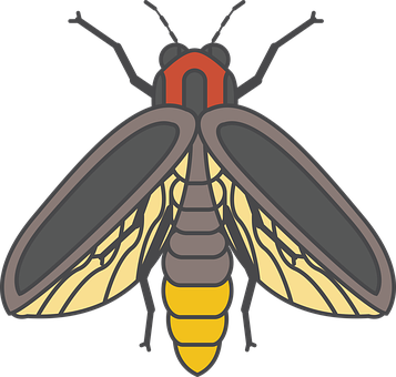 Ilustración vectorial de luciérnaga Fondos de pantalla