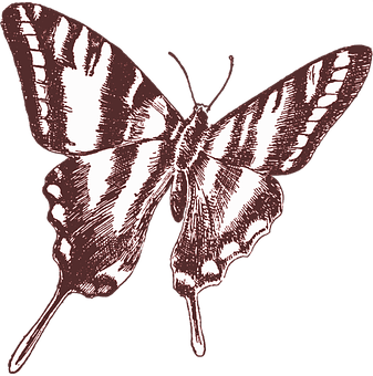 Ilustración vintage de mariposa Fondos de pantalla