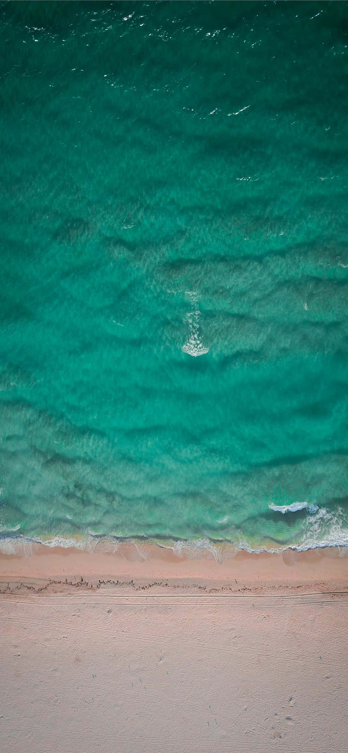Imagen de agua verde del mar de Miami Beach Fondos de pantalla