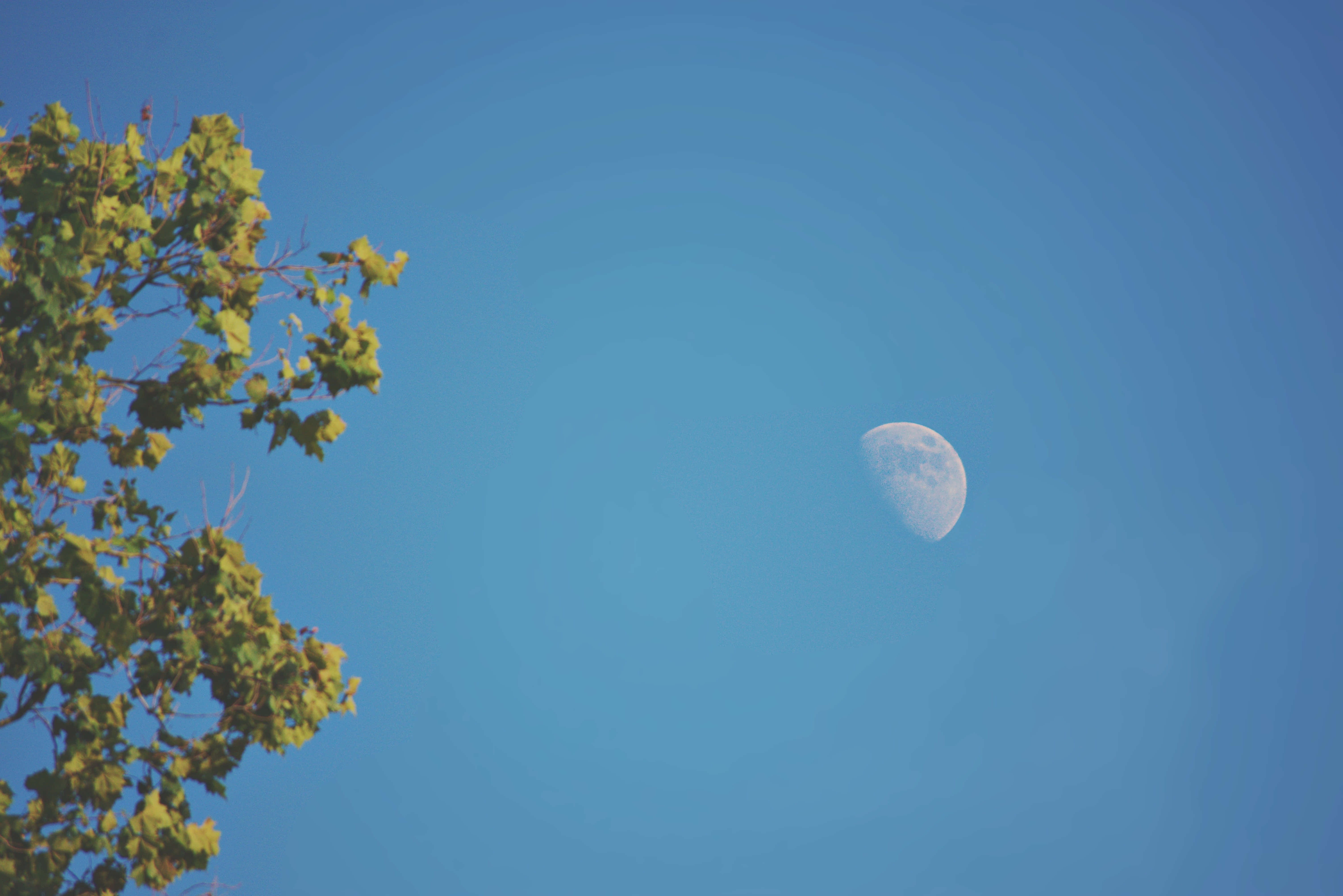 Imagen de Luna en Cielo Azul Despejado Fondos de pantalla