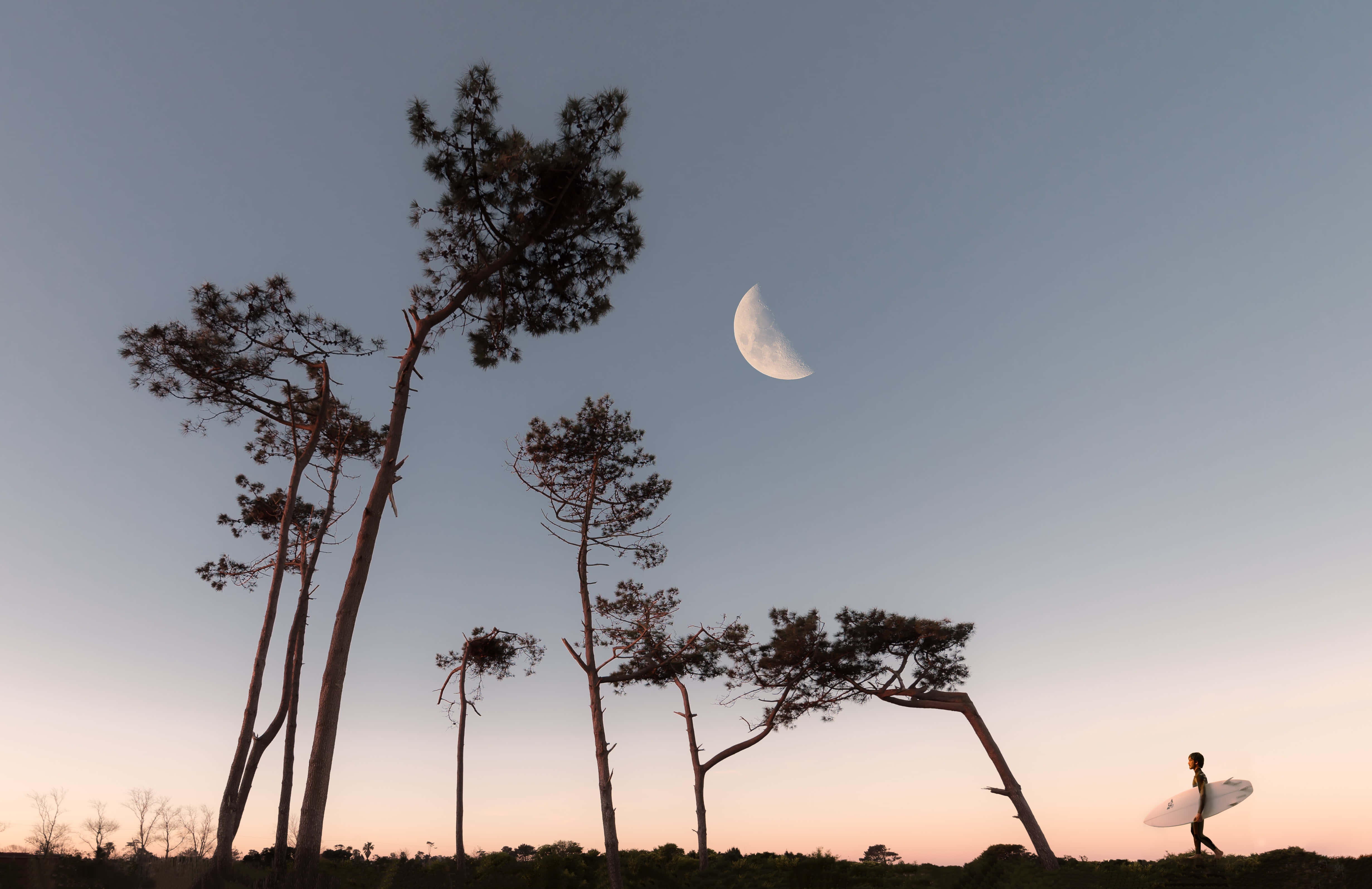 Imagen de Luna en el Cielo de la Tarde Fondos de pantalla