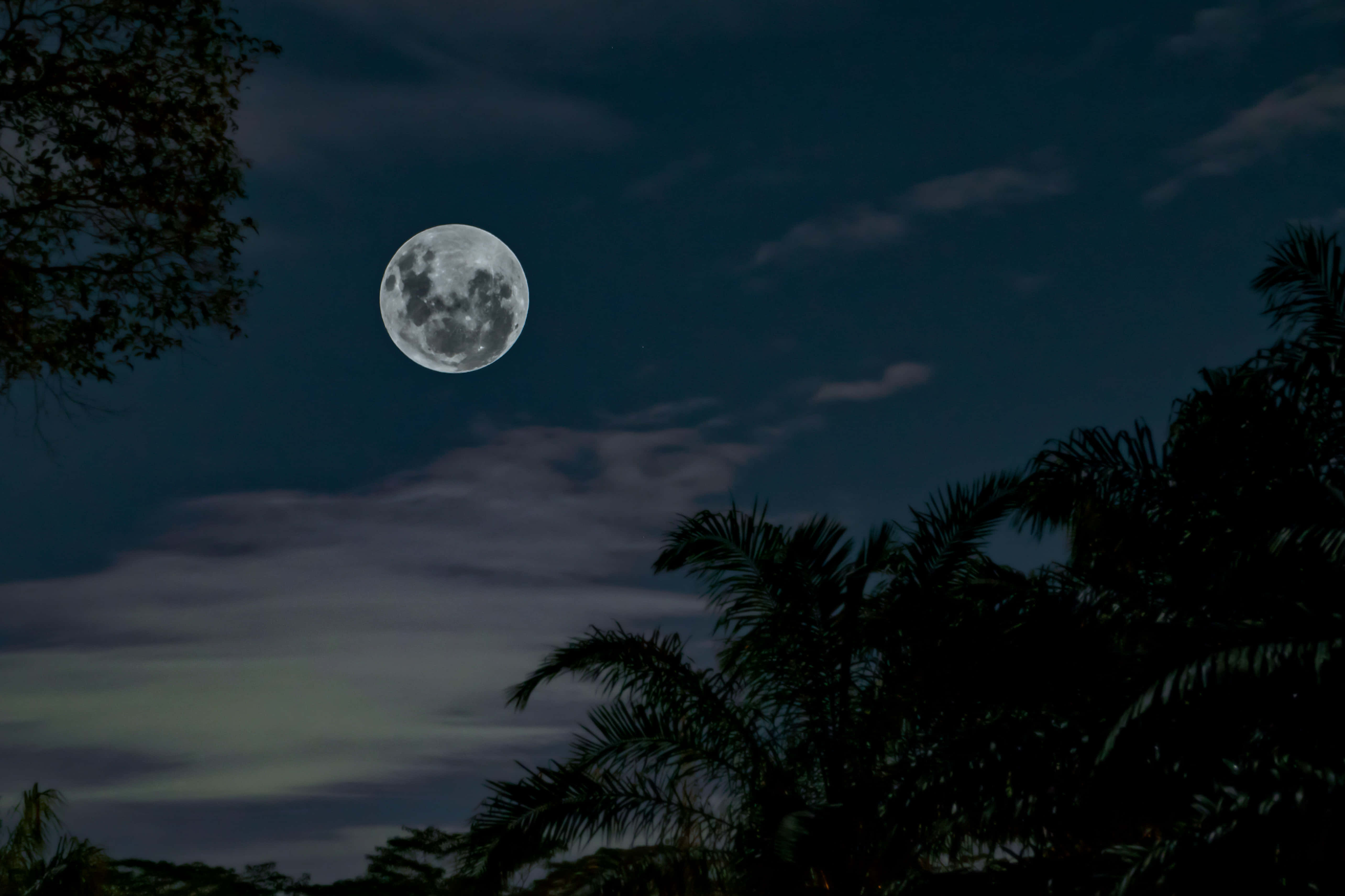 Imagen de Luna Llena con Manchas Oscuras Fondos de pantalla
