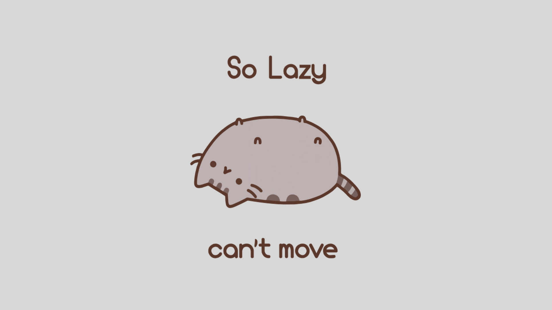 Imagen de meme de gato kawaii perezoso Fondos de pantalla