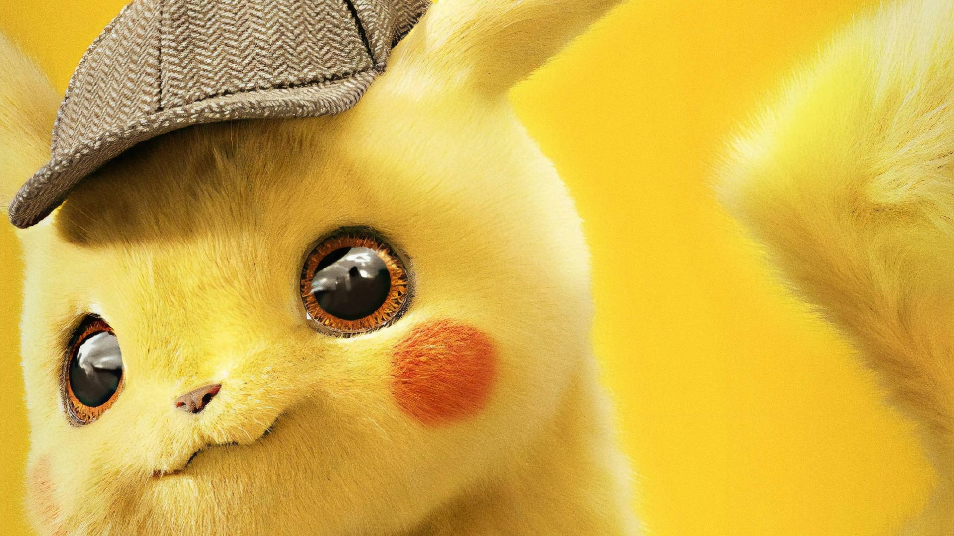 Imagen de Pikachu en Primer Plano Fondos de pantalla