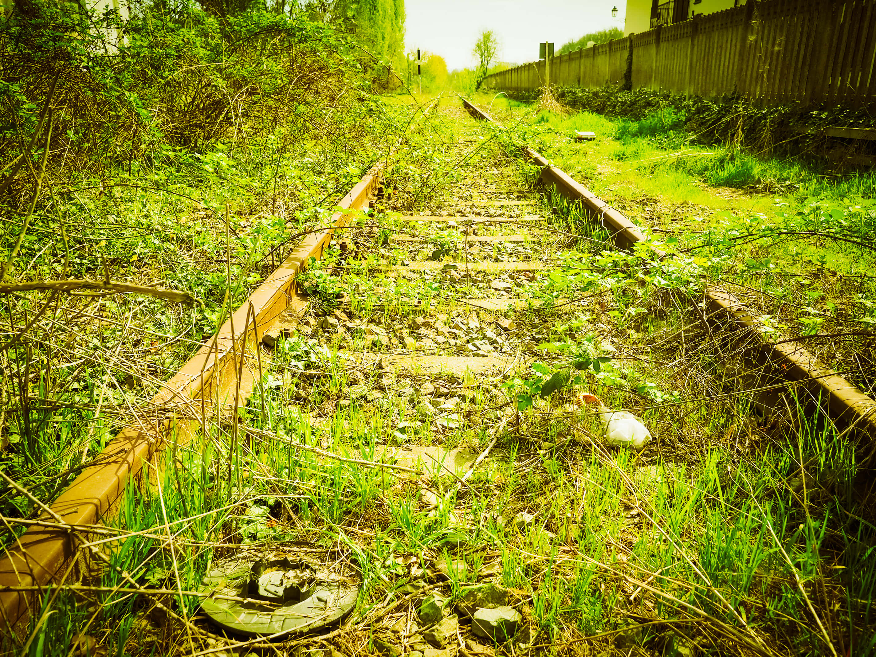 Imagen de Vegetación Ferroviaria Fondos de pantalla
