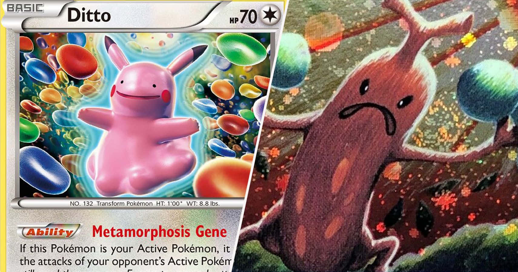 Imagen divertida de Pokémon Ditto Fondos de pantalla