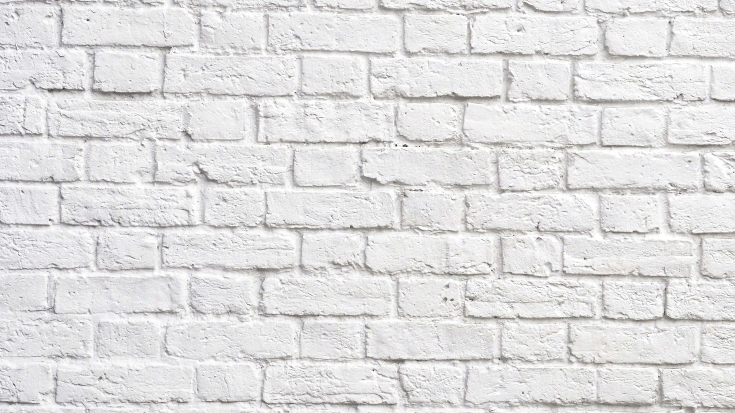 Imagen Estética Monocromática – Blanco Nítido Fondos de pantalla