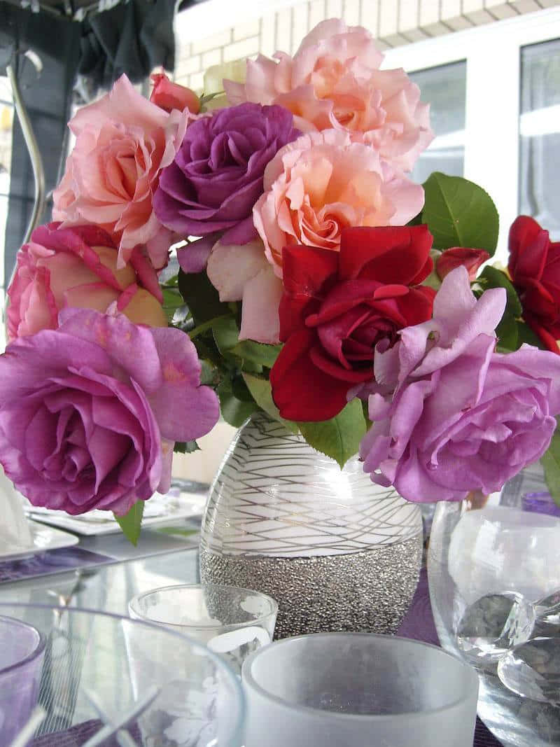 Imagen "Suave Rosa de Pétalos Rosados Floreciendo en un Jardín" Fondos de pantalla