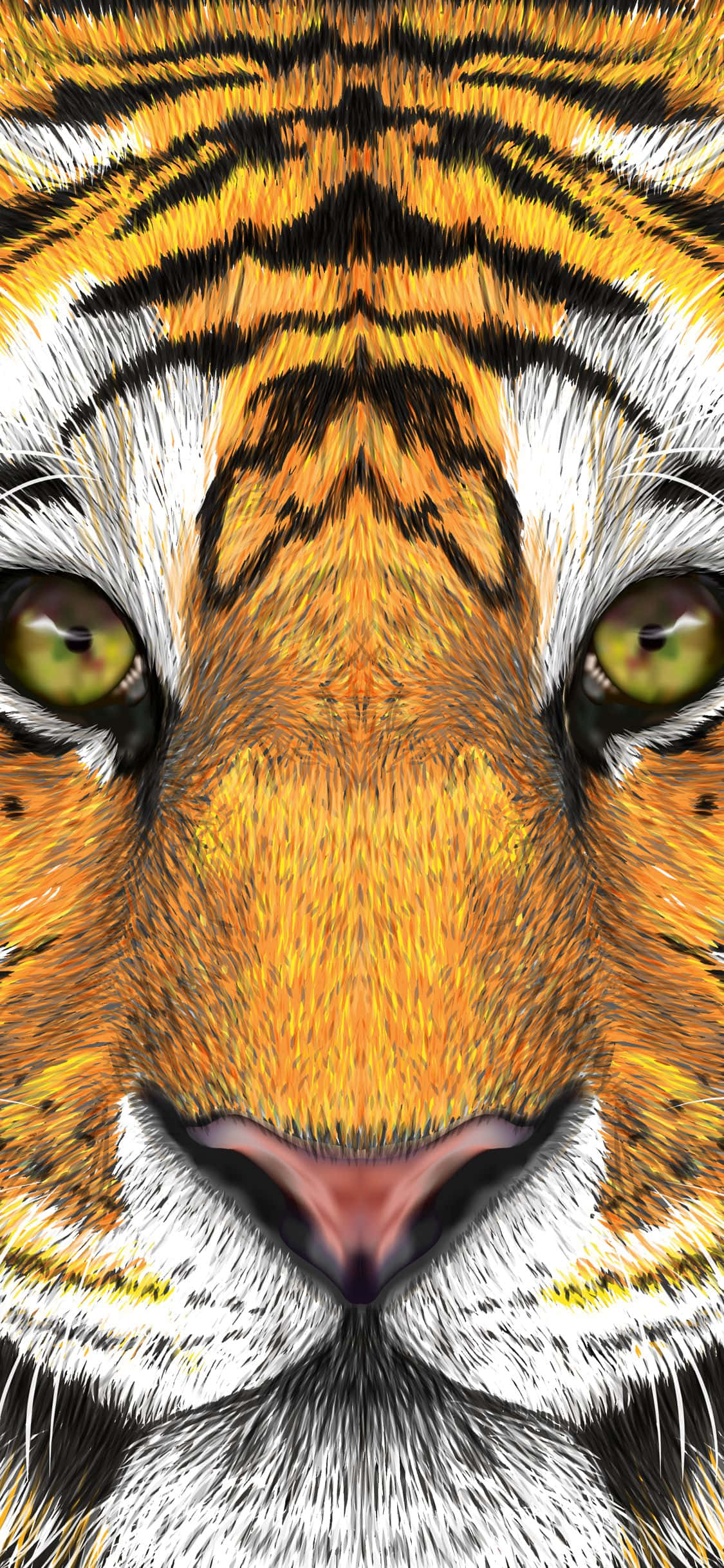 Imágenes de cara de tigre Fondos de pantalla
