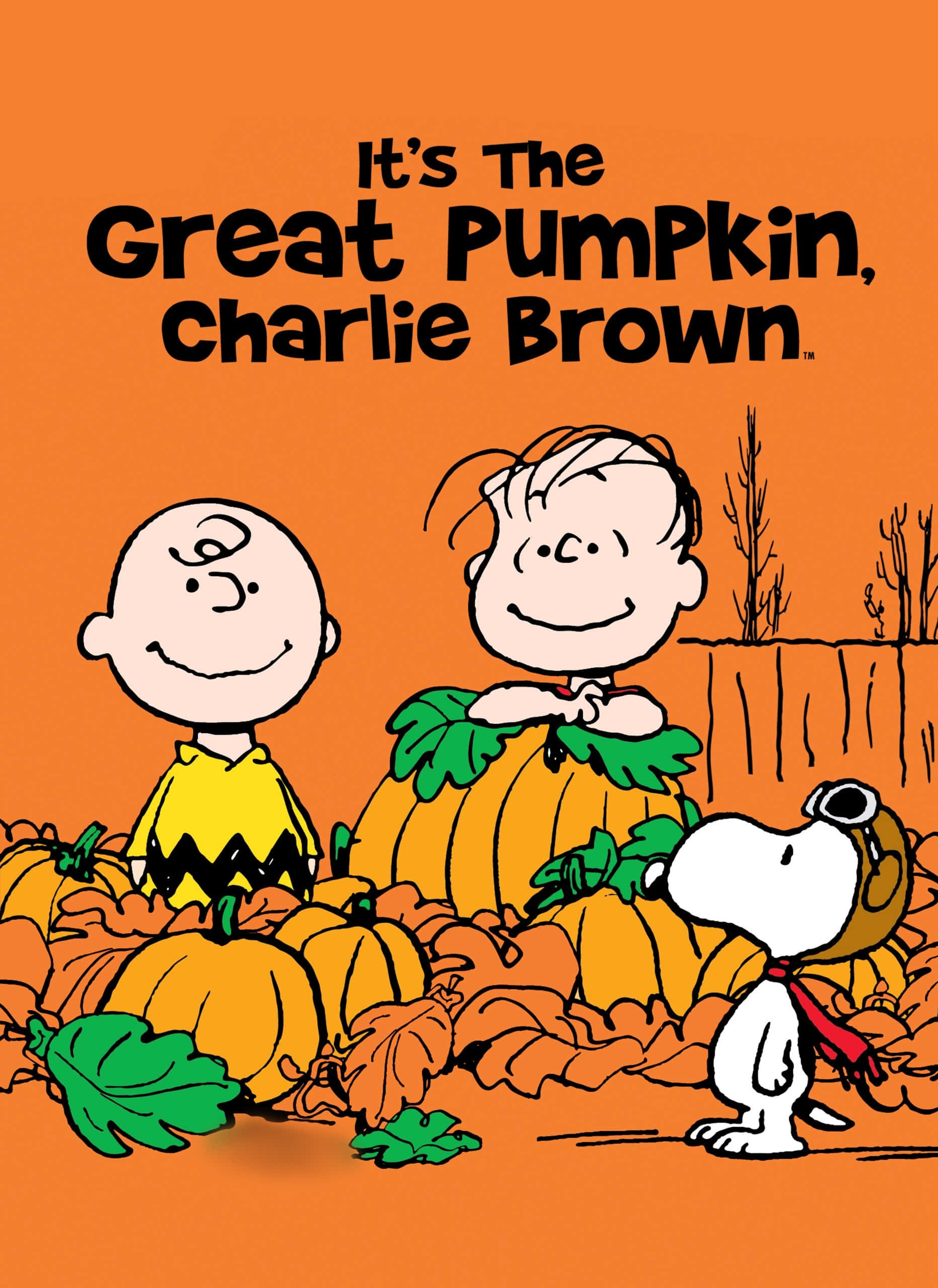 Imágenes de Charlie Brown de Halloween Fondos de pantalla