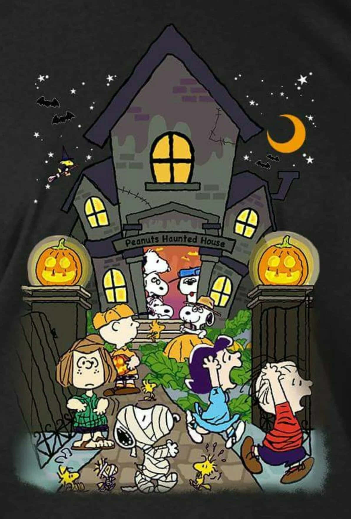 Imágenes de Charlie Brown de Halloween Fondos de pantalla