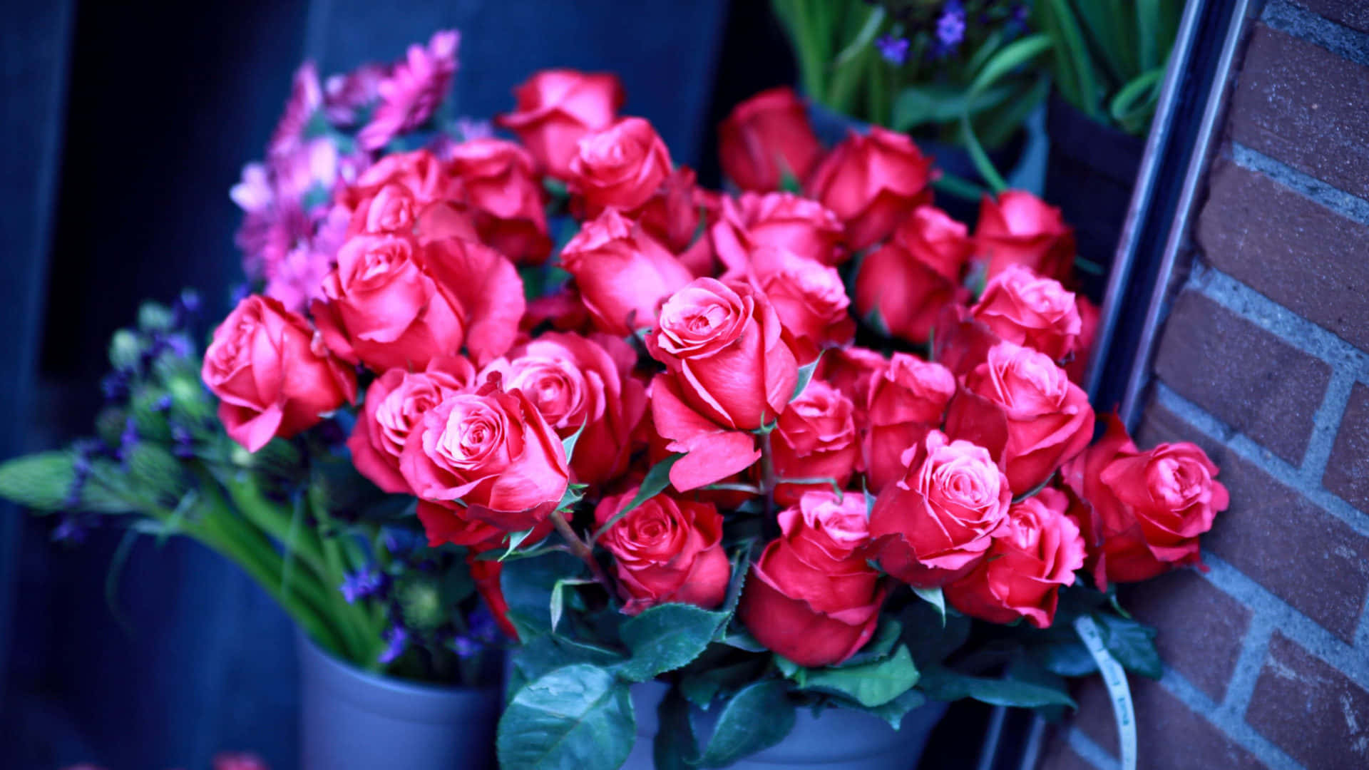 Imágenes de Dos Ramos de Rosas Fondos de pantalla
