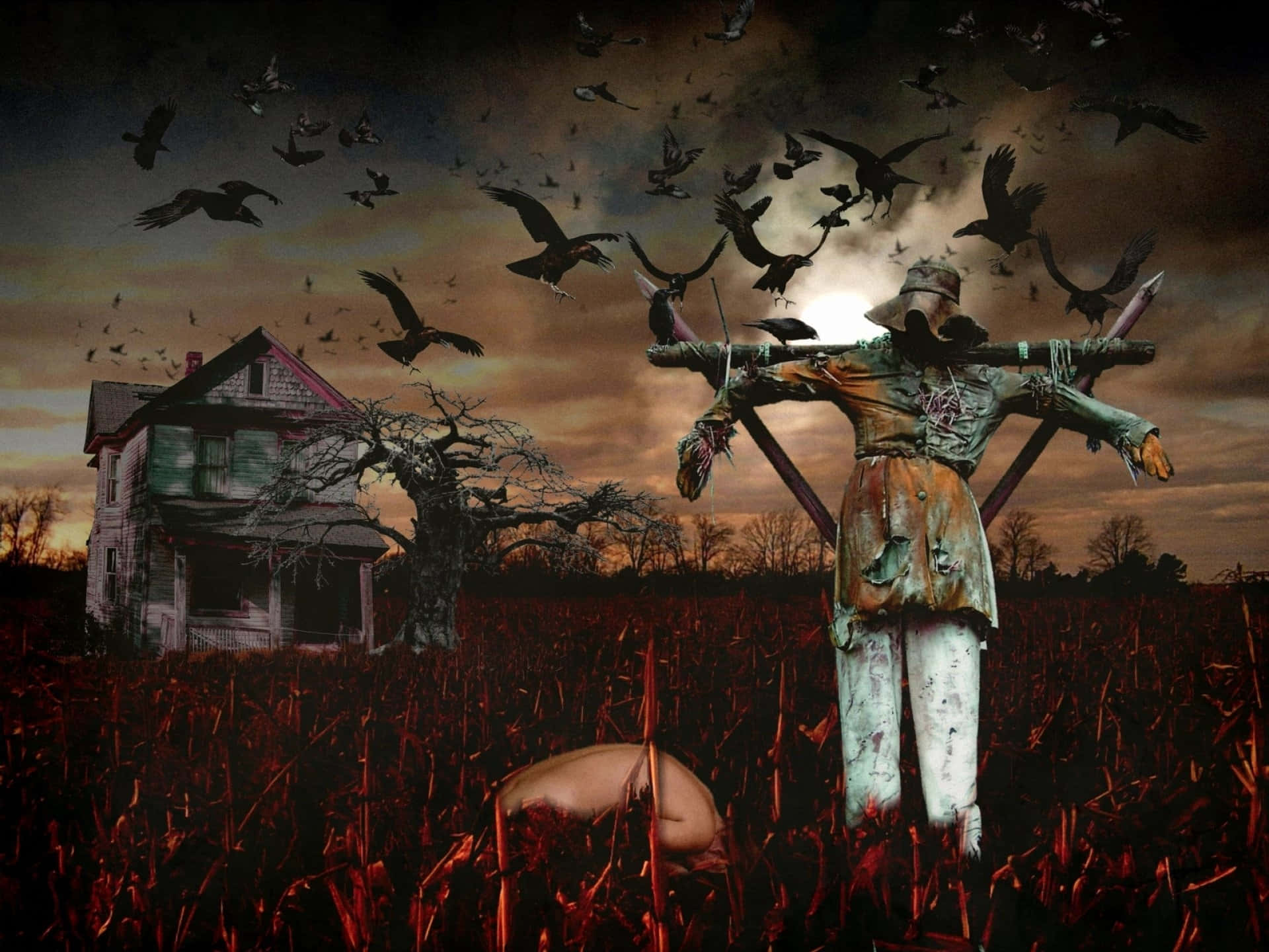 Imágenes de Halloween aterradoras Fondos de pantalla