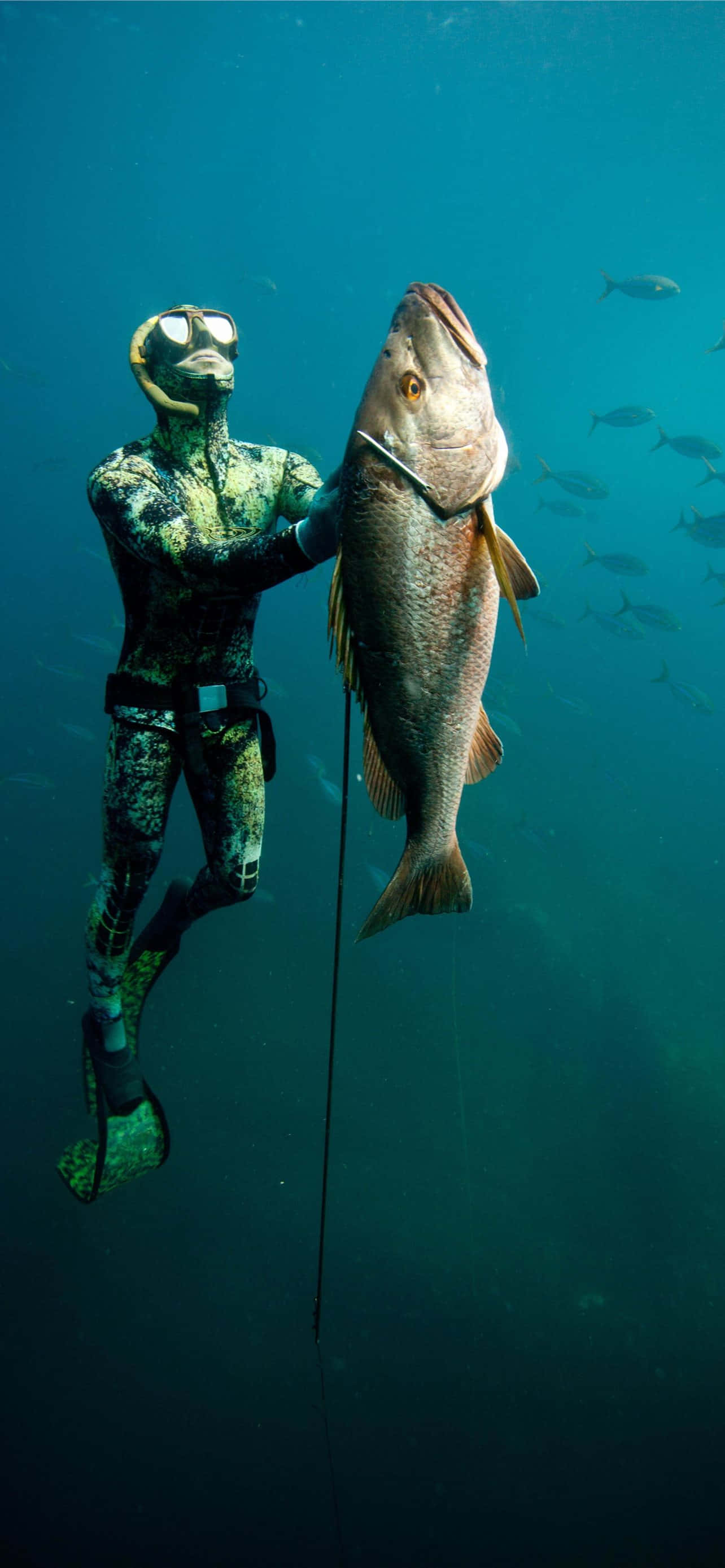 Imágenes de pesca Fondos de pantalla