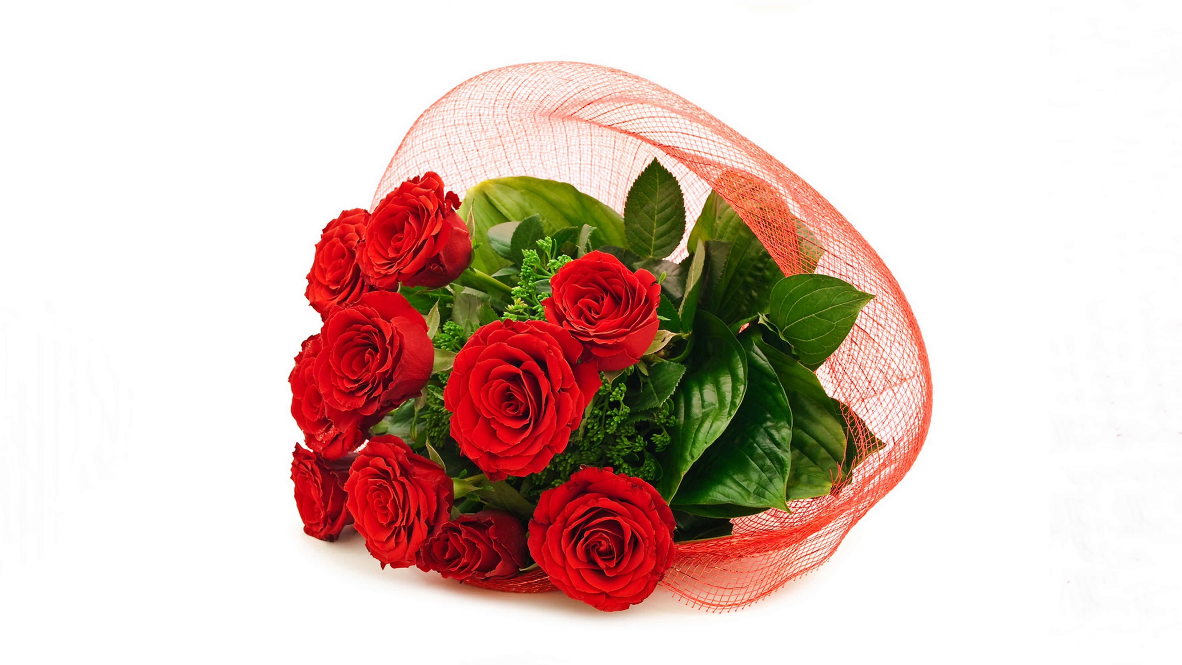 Imágenes de Ramo de Rosas de Certamen Fondos de pantalla