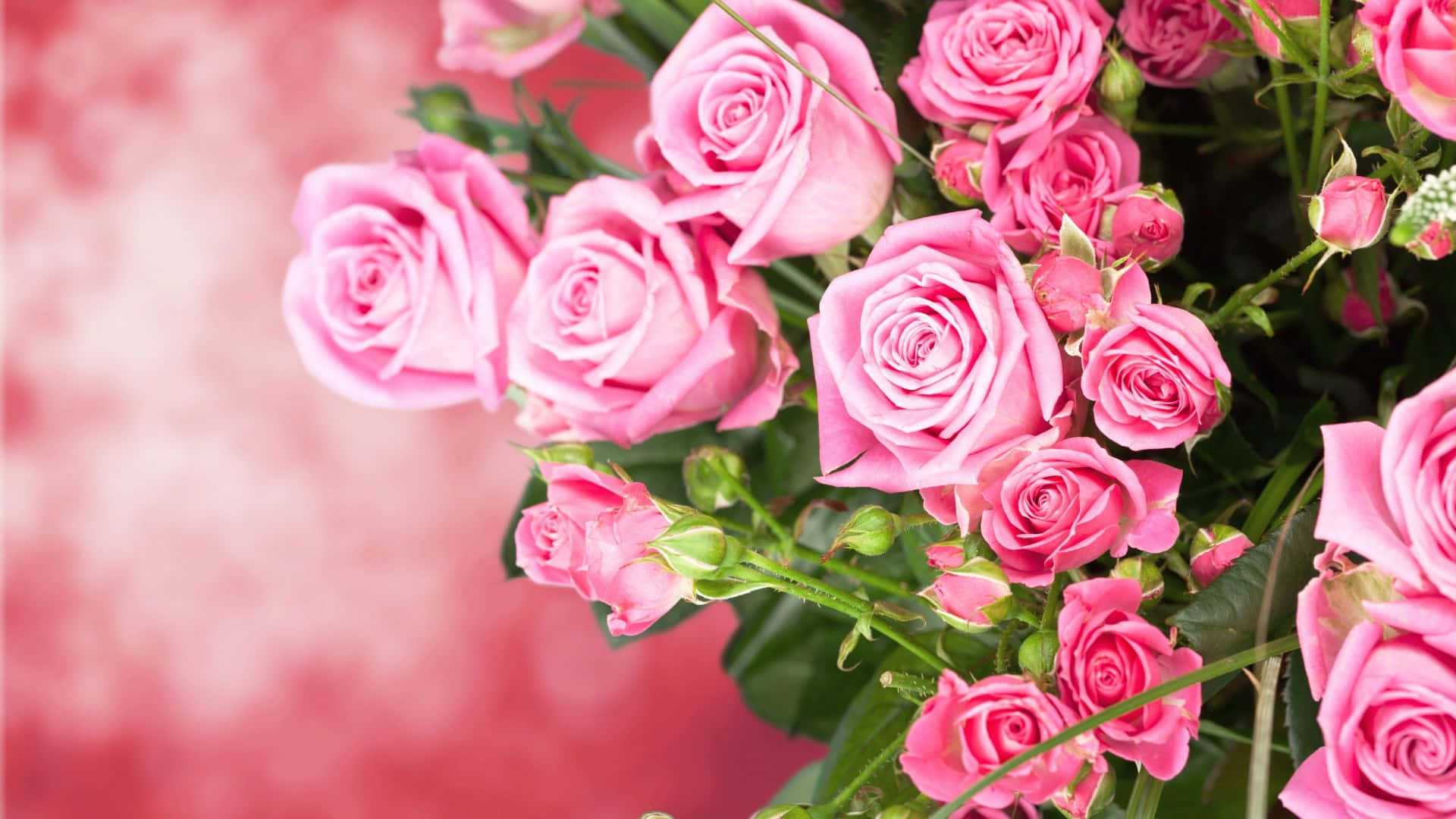 Imágenes de ramo de rosas para escritorio Fondos de pantalla