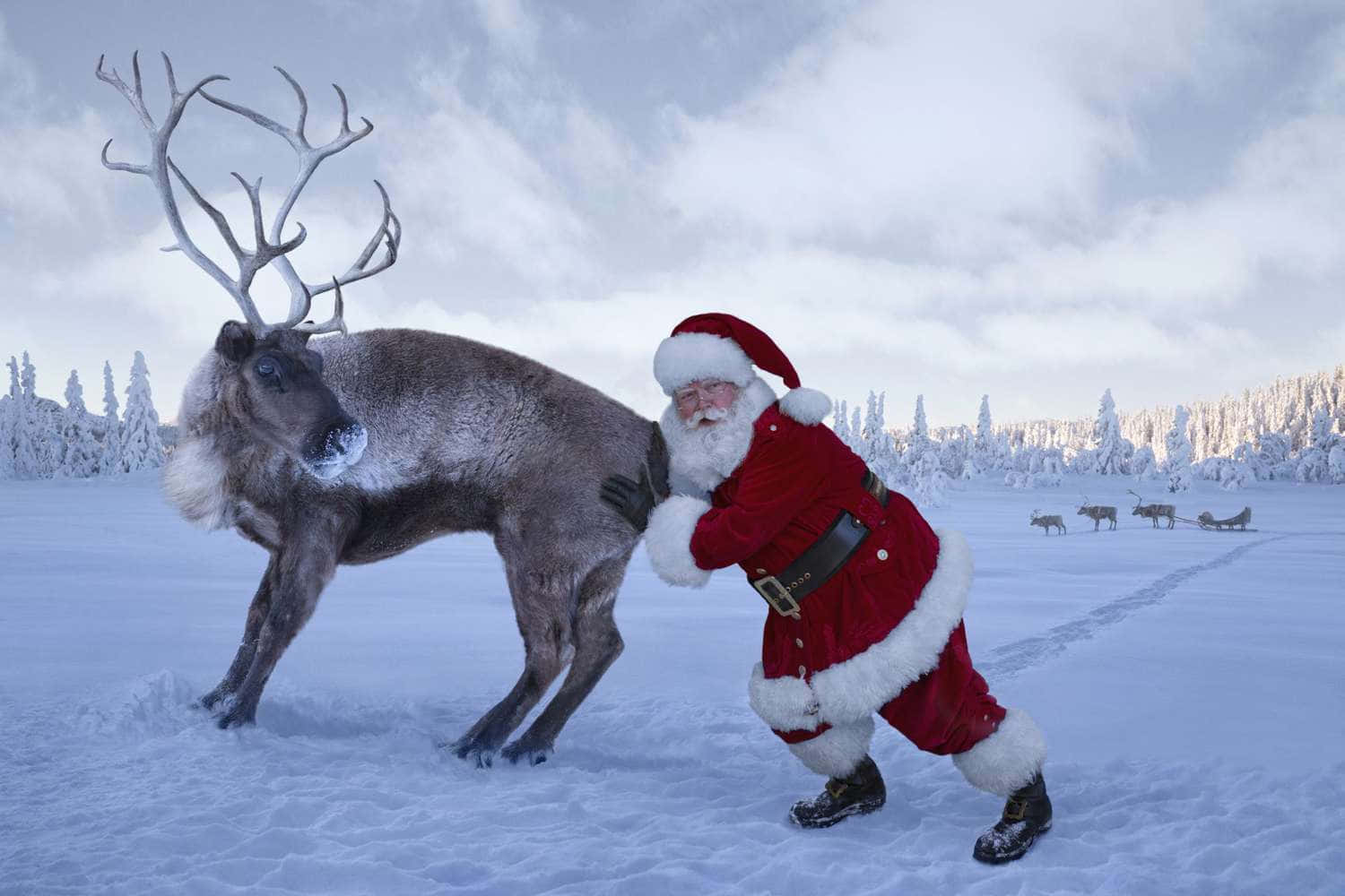Imágenes divertidas de Navidad Fondos de pantalla