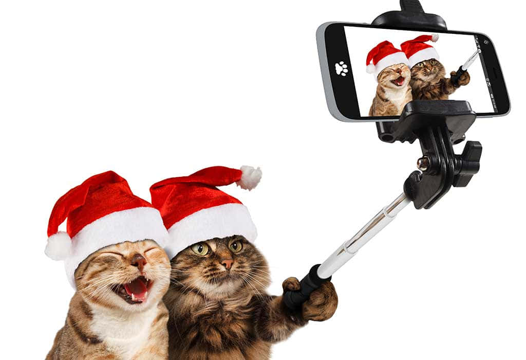 Imágenes divertidas de Navidad Fondos de pantalla