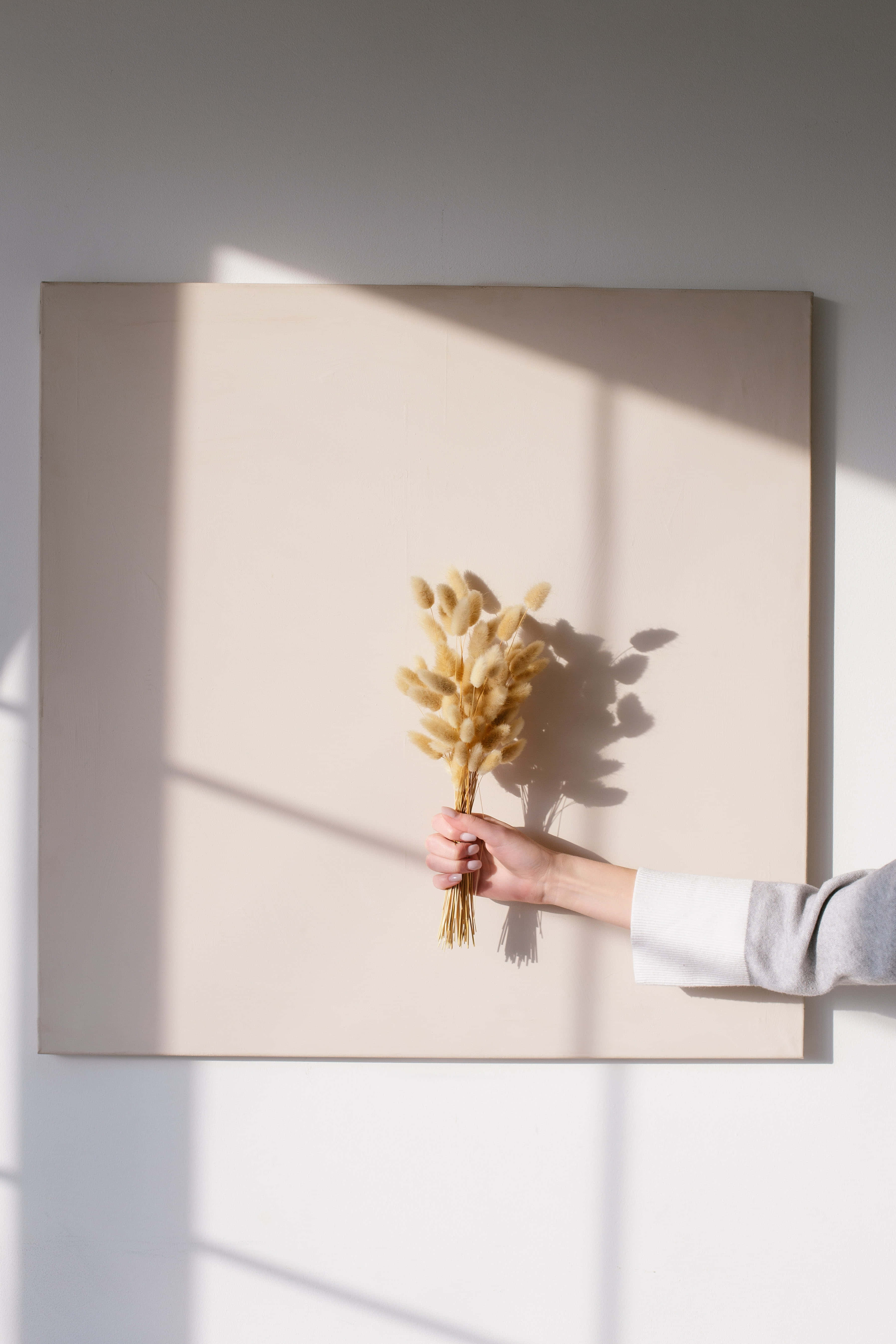 Imágenes Estéticas de Flores Fondos de pantalla